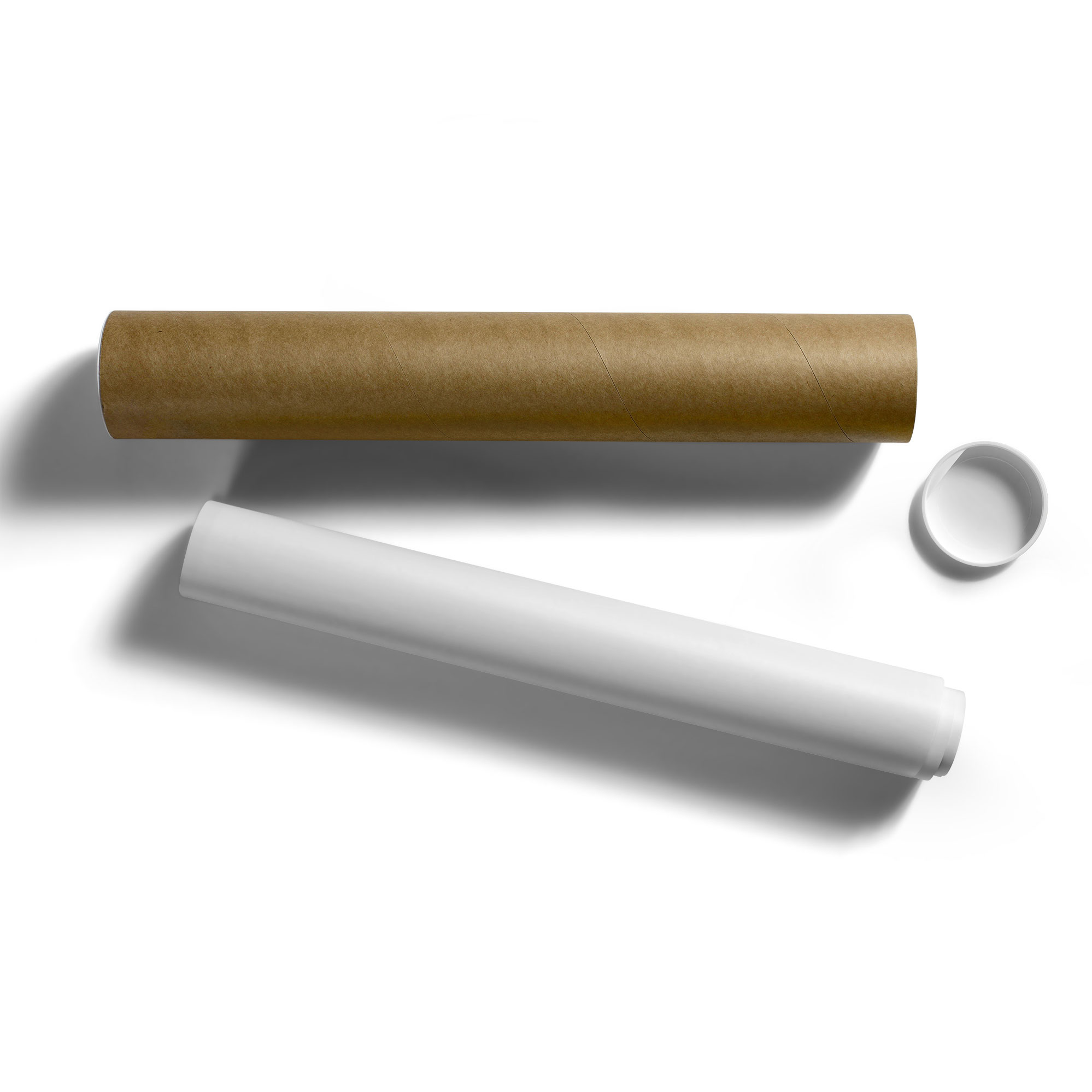 POSTER PRINT WALL Art White Daisy Flower 6 V3 Landscape Botanical