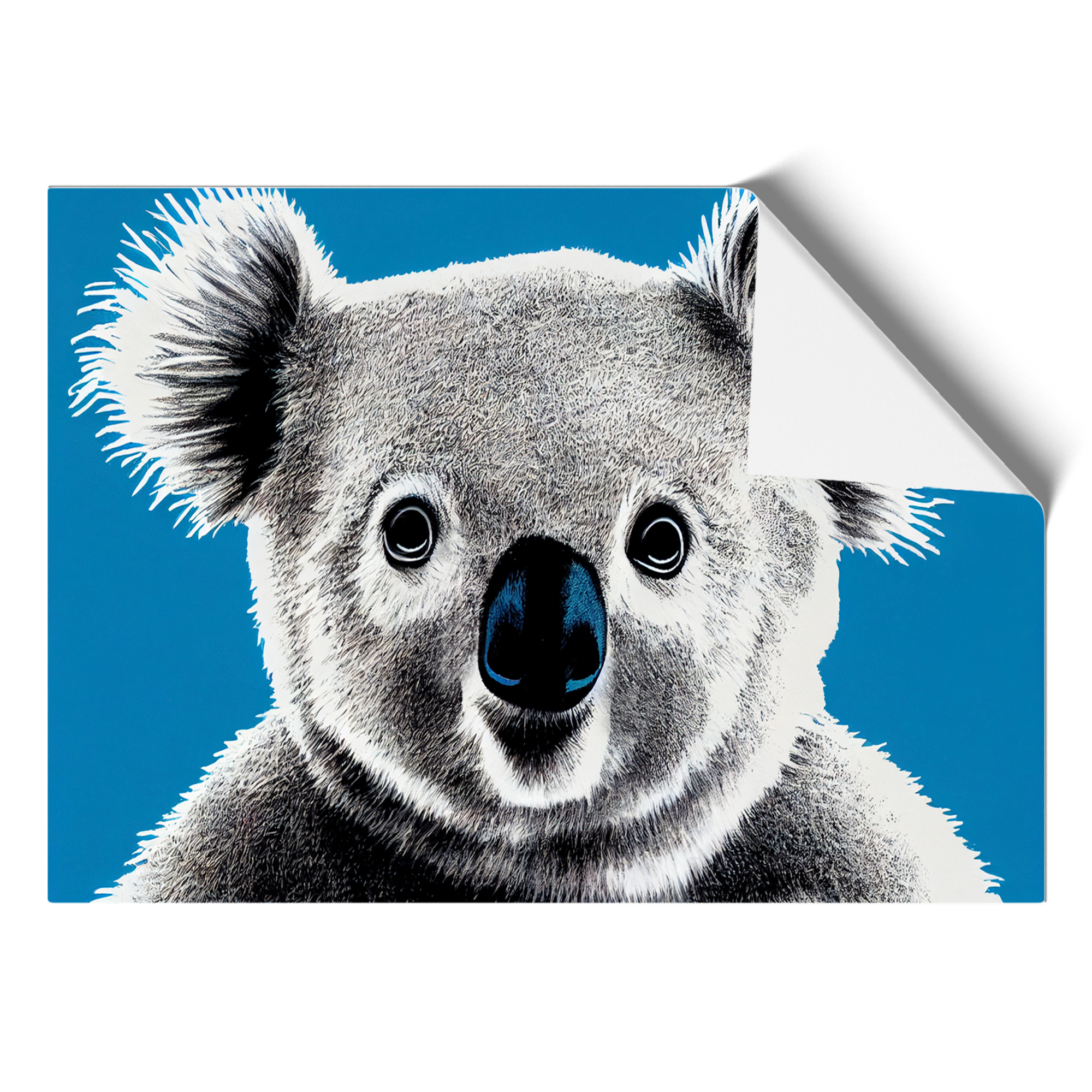 Alluring Koala Bear Wall Art Print Framed Canvas Picture Poster Decor