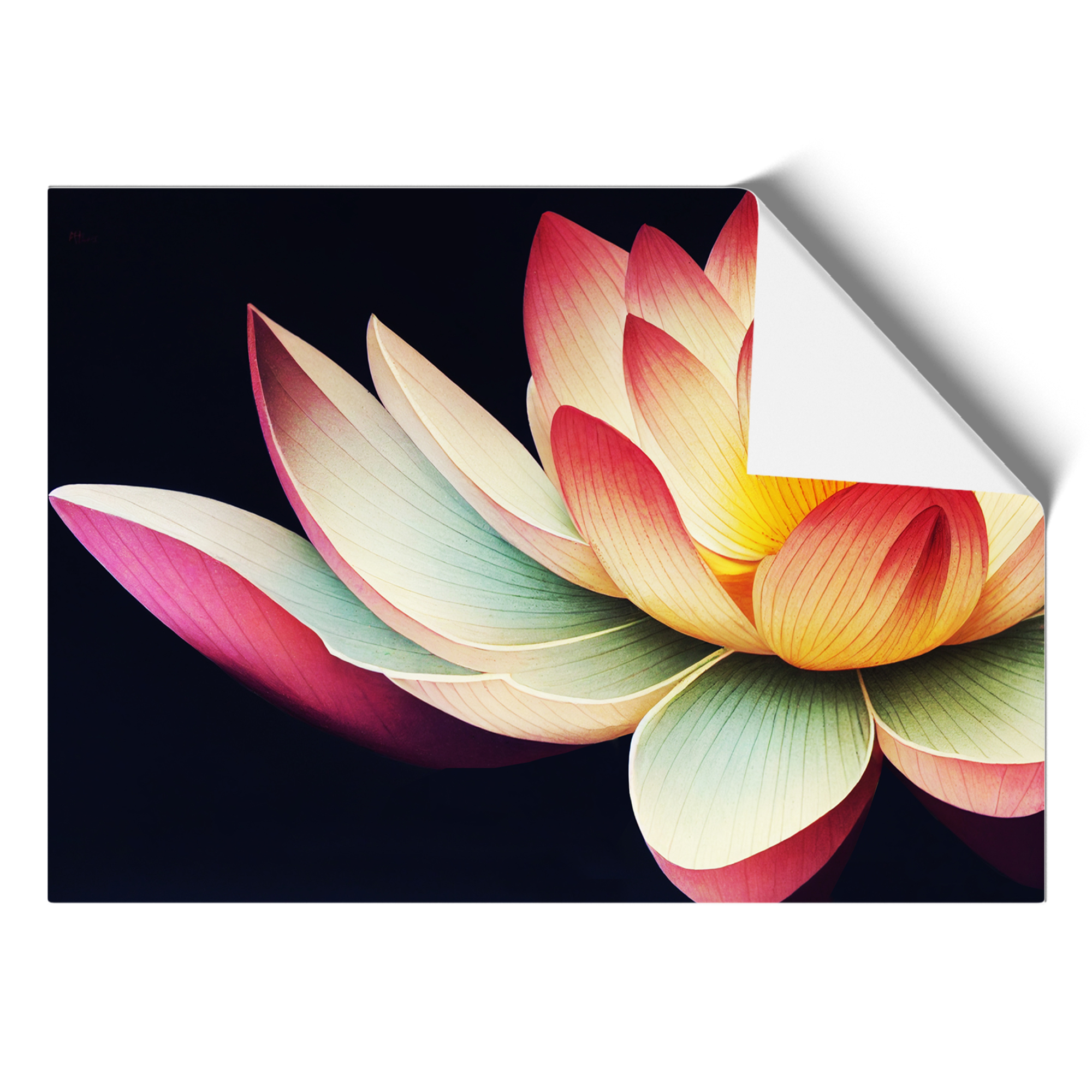 Bright Lotus Flower Wall Art Print Framed Canvas Picture Poster Decor