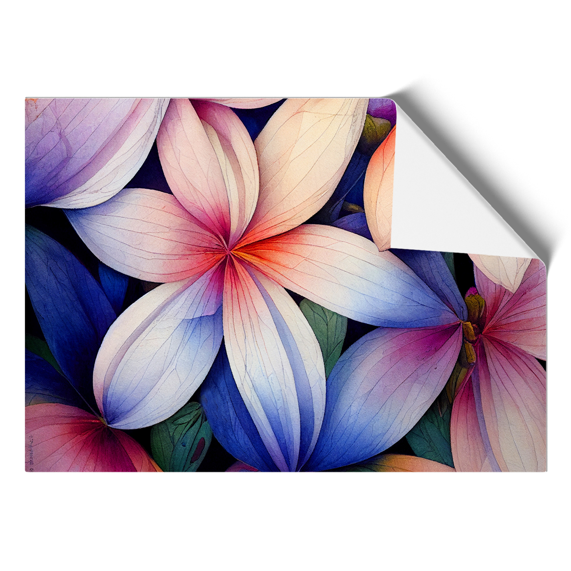 Bright Flowers Wall Art Print Framed Canvas Picture Poster Decor Living Room