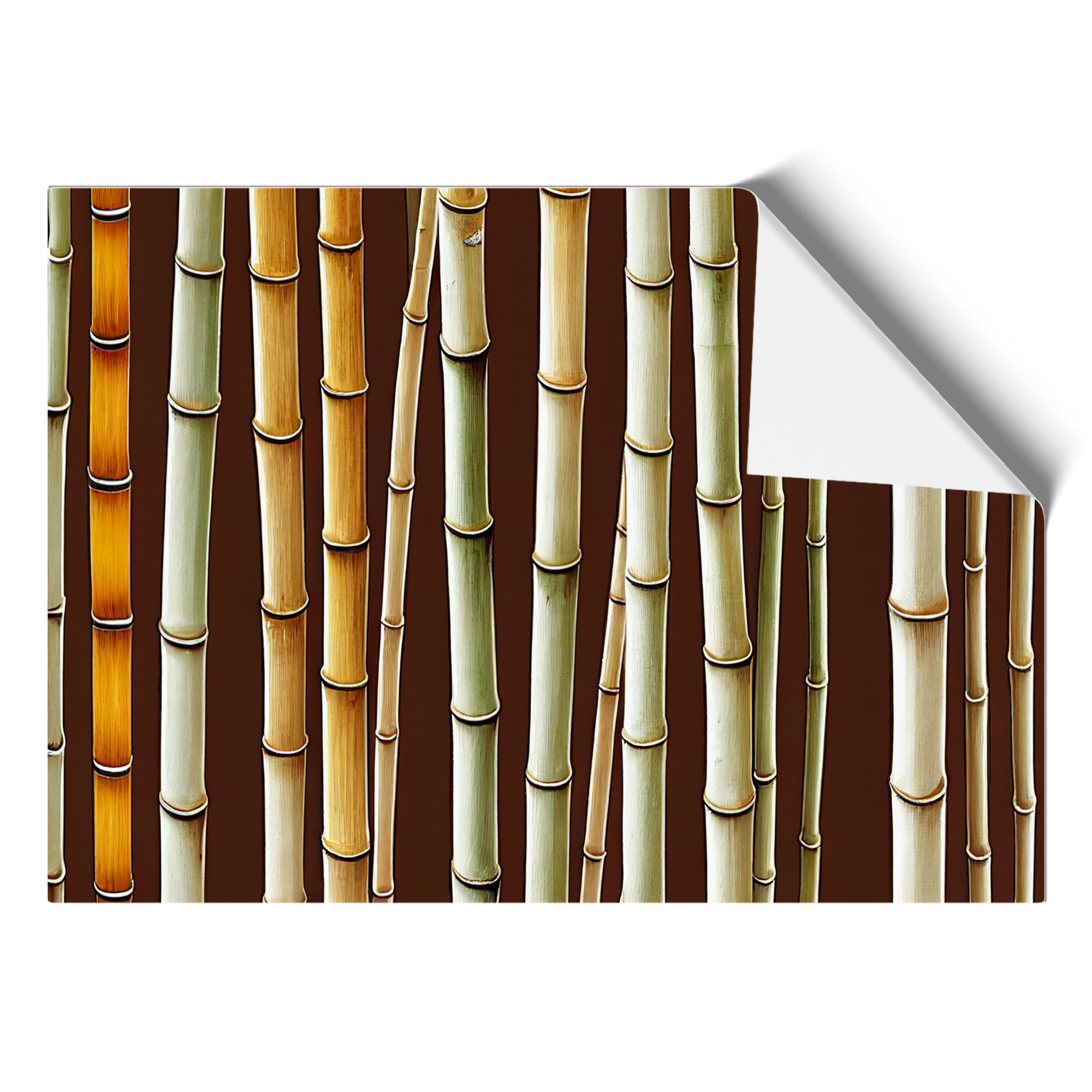 Superb Bamboo Forest Wall Art Print Framed Canvas Picture Poster Decor