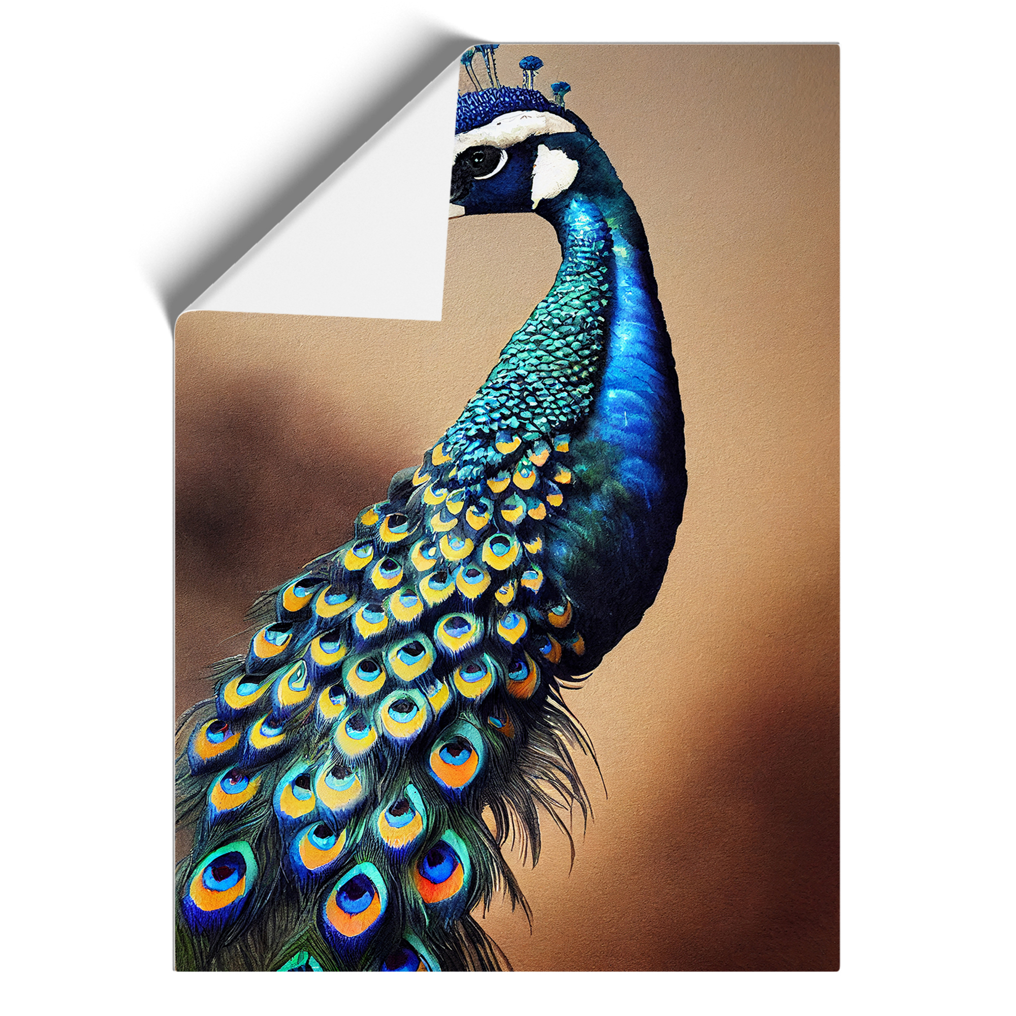 Cuadro póster impresión arte pared lienzo enmarcado View Of A Peacock No.1, decoración del hogar - Imagen 8 de 8