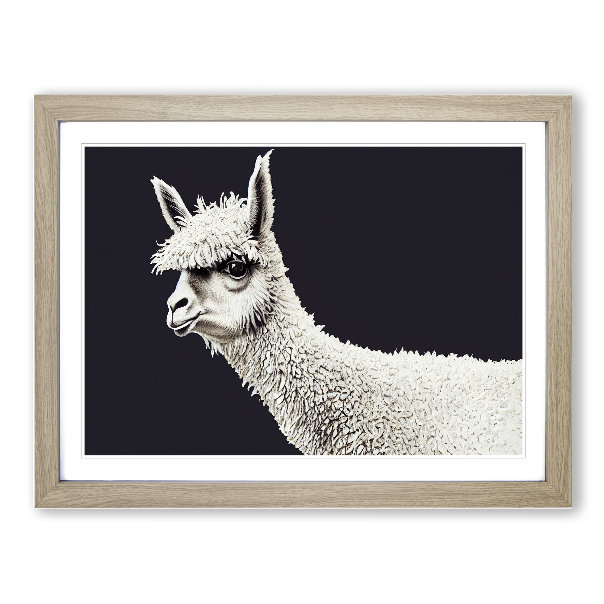 large llama wall art