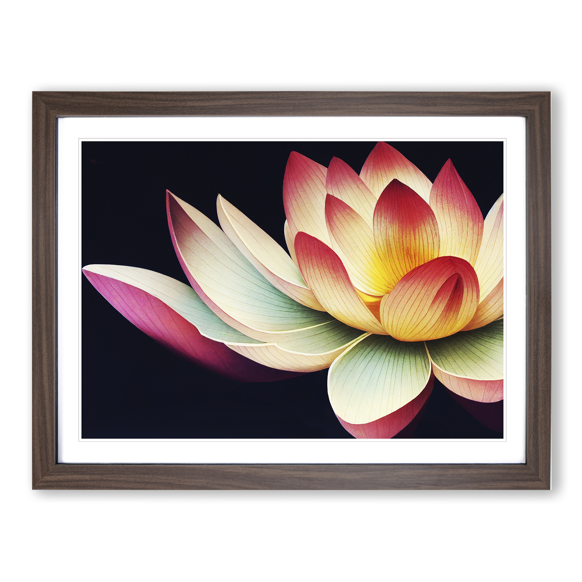 Bright Lotus Flower Wall Art Print Framed Canvas Picture Poster Decor