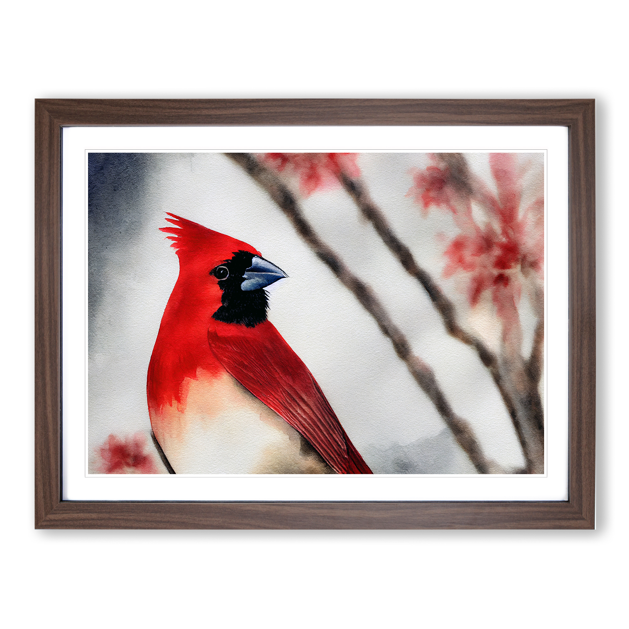 cardinal watercolour