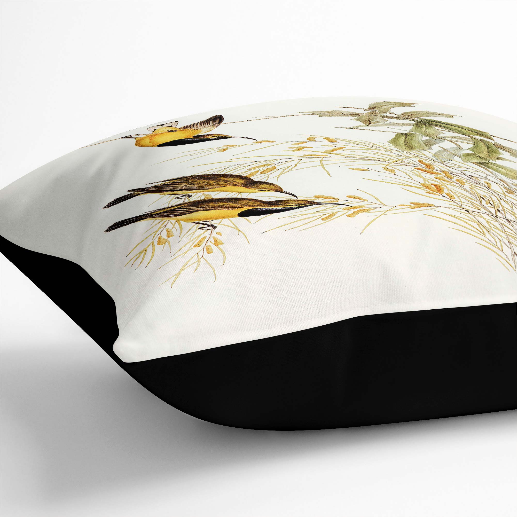Plump Cushion Australian Sunbirds Flowers Elizabeth Gould Scatter Throw Pillow - Picture 10 of 12
