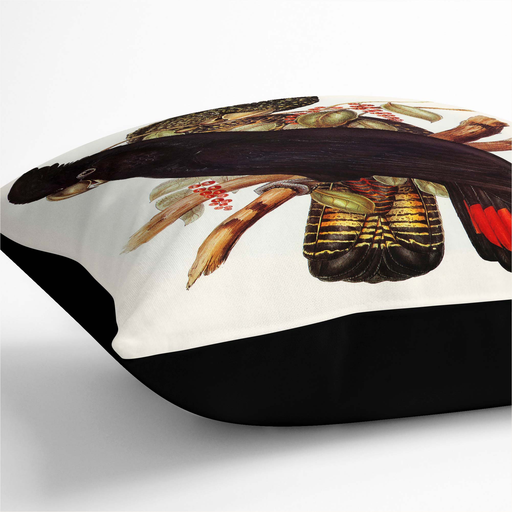 Plump Cushion Banksian Cockatoo Flowers Bird Elizabeth Gould Scatter Pillow - Picture 10 of 12
