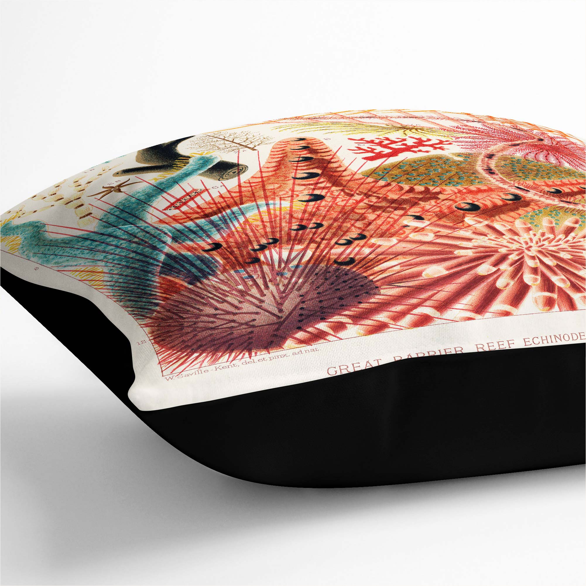 Plump Cushion Great Barrier Reef Starfish W. Saville-Kent Dekokissen - Bild 8 von 10