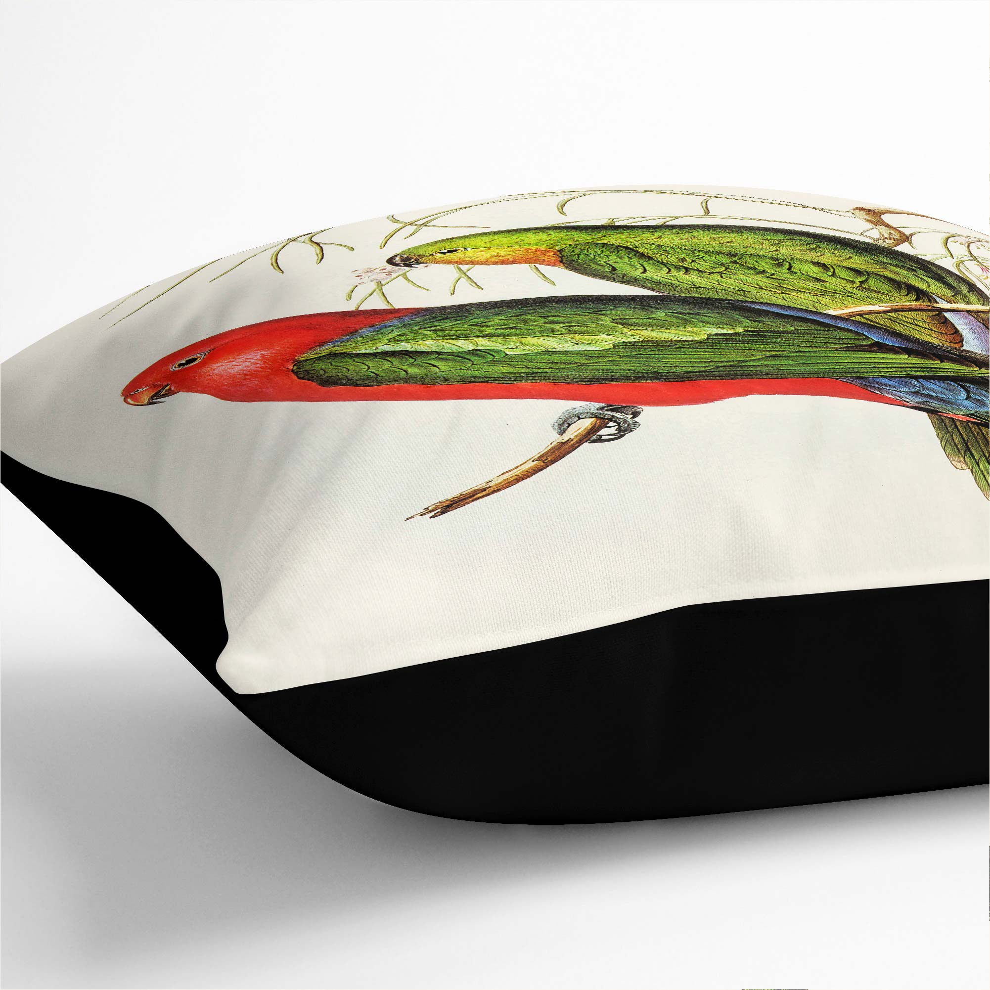 Plump Cushion King Lory Parrot Flowers Bird Elizabeth Gould Scatter Throw Pillow - Picture 10 of 12