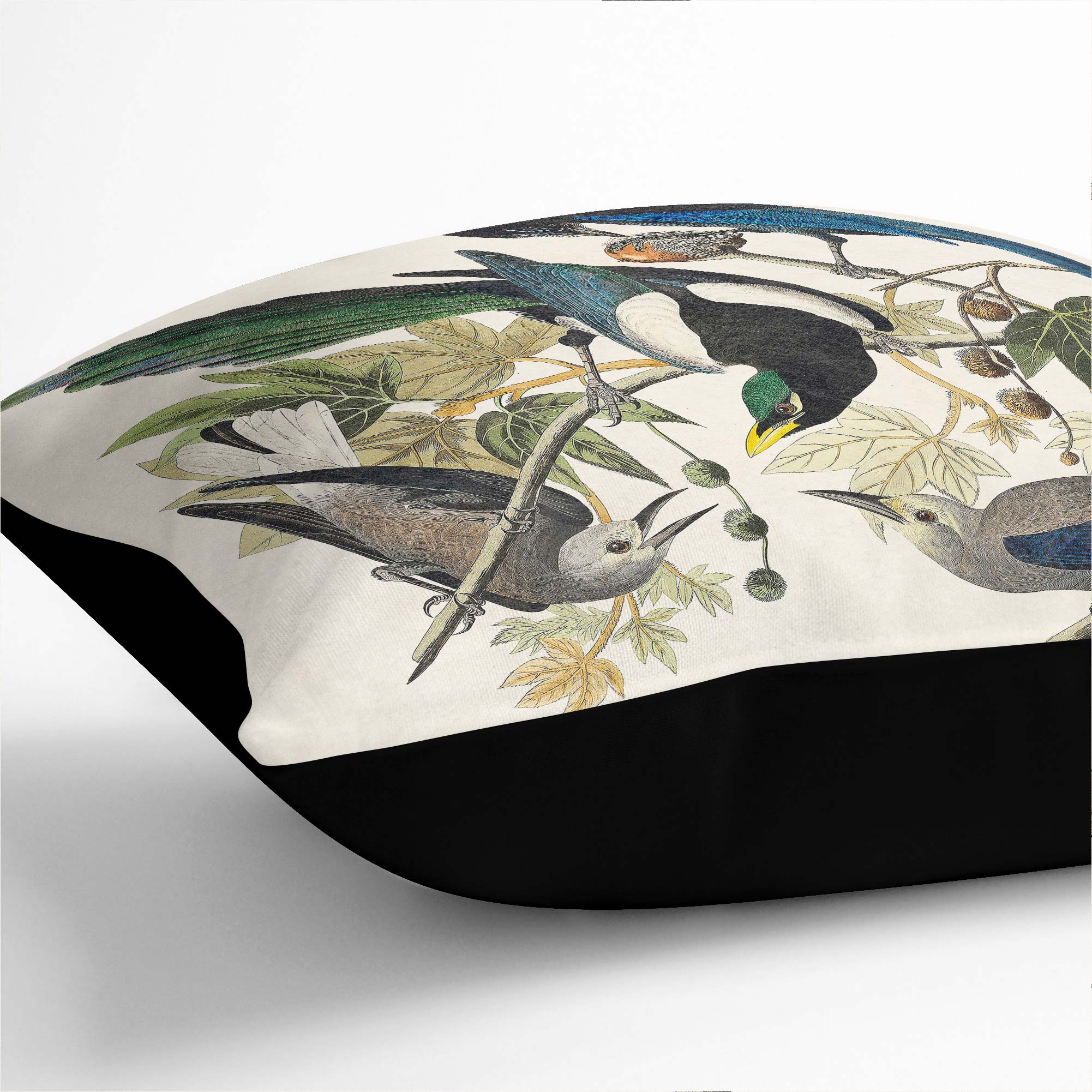 Plump Cushion Magpie, Crow & Jay Birds John James Audubon Scatter Throw Pillow - Picture 10 of 12