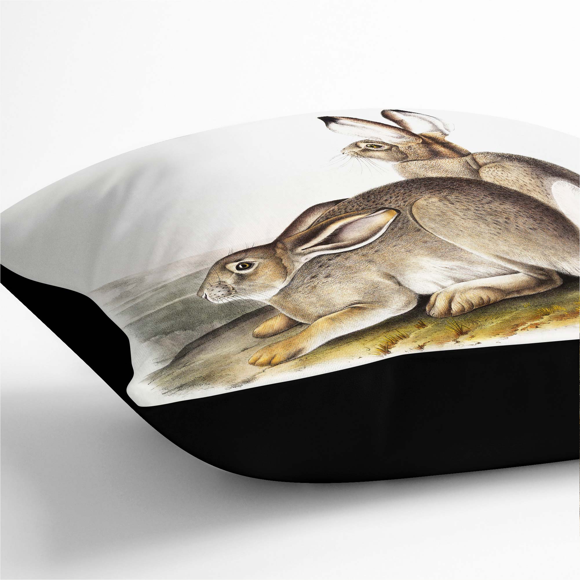 Plump Cushion Rocky Mountain Hares Landscape J.W. Audubon Scatter Throw Pillow - Picture 10 of 12