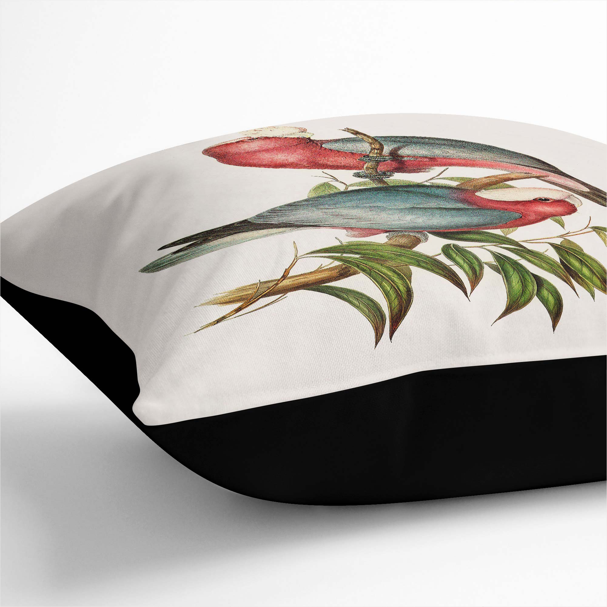 Plump Cushion Rose-breasted Cockatoos Bird Elizabeth Gould Scatter Throw Pillow - Picture 10 of 12