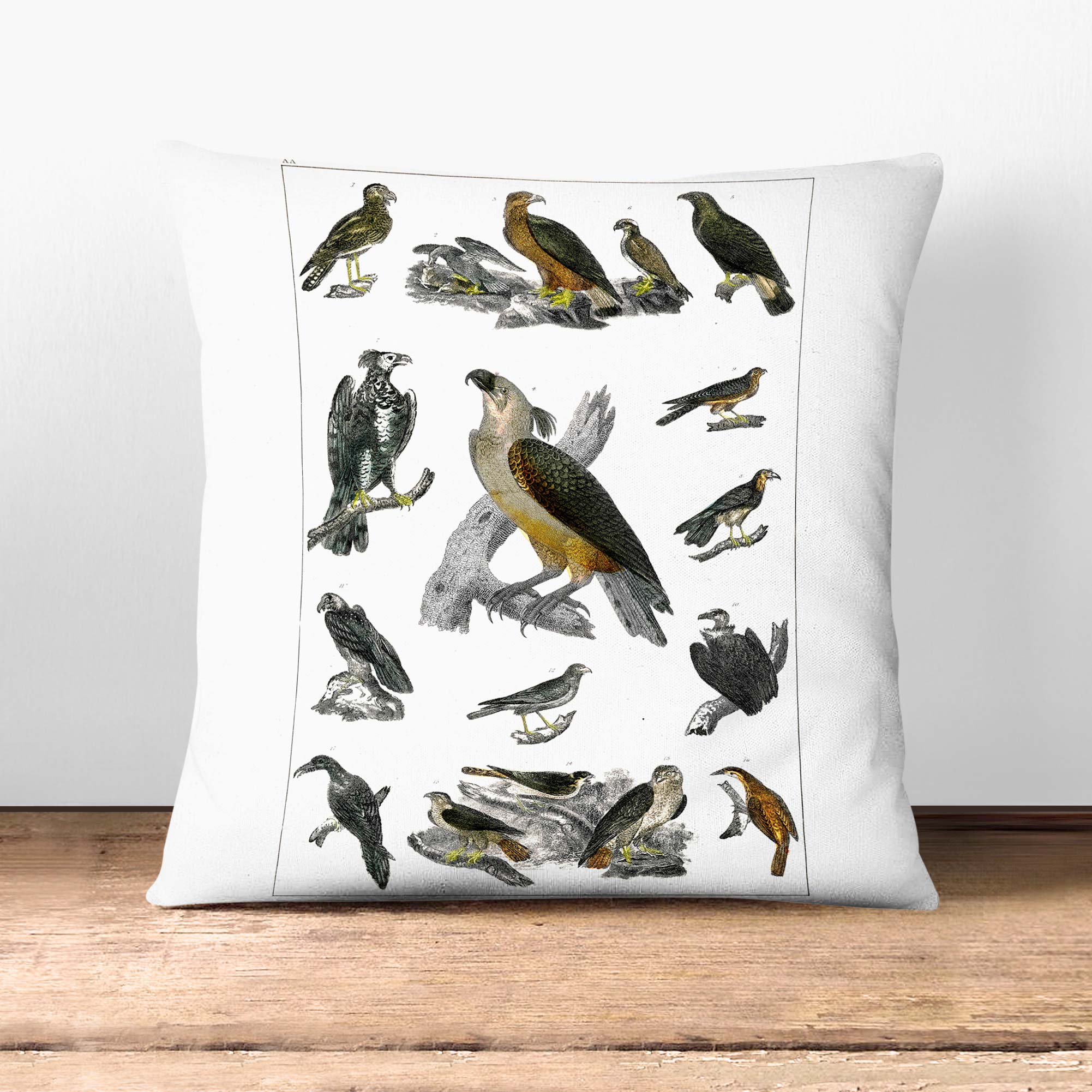 Birds of Prey XX Animal Vintage Oliver Goldsmith 1 x Soft Cushion Cover  Pillow | eBay