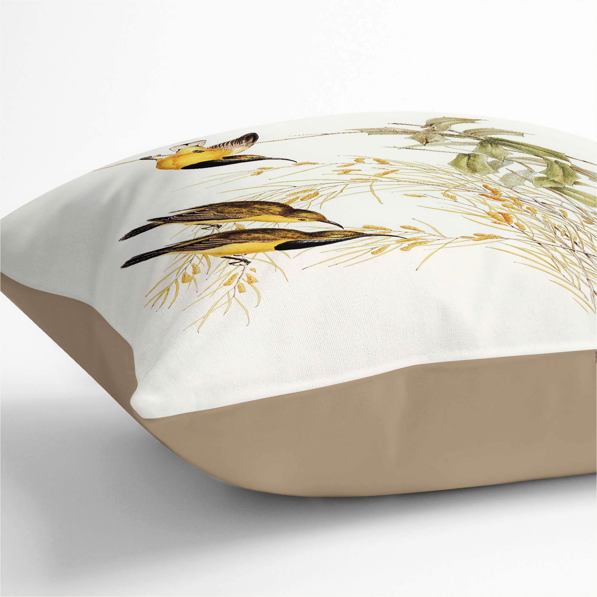 Plump Cushion Australian Sunbirds Flowers Elizabeth Gould Scatter Throw Pillow - Picture 8 of 12