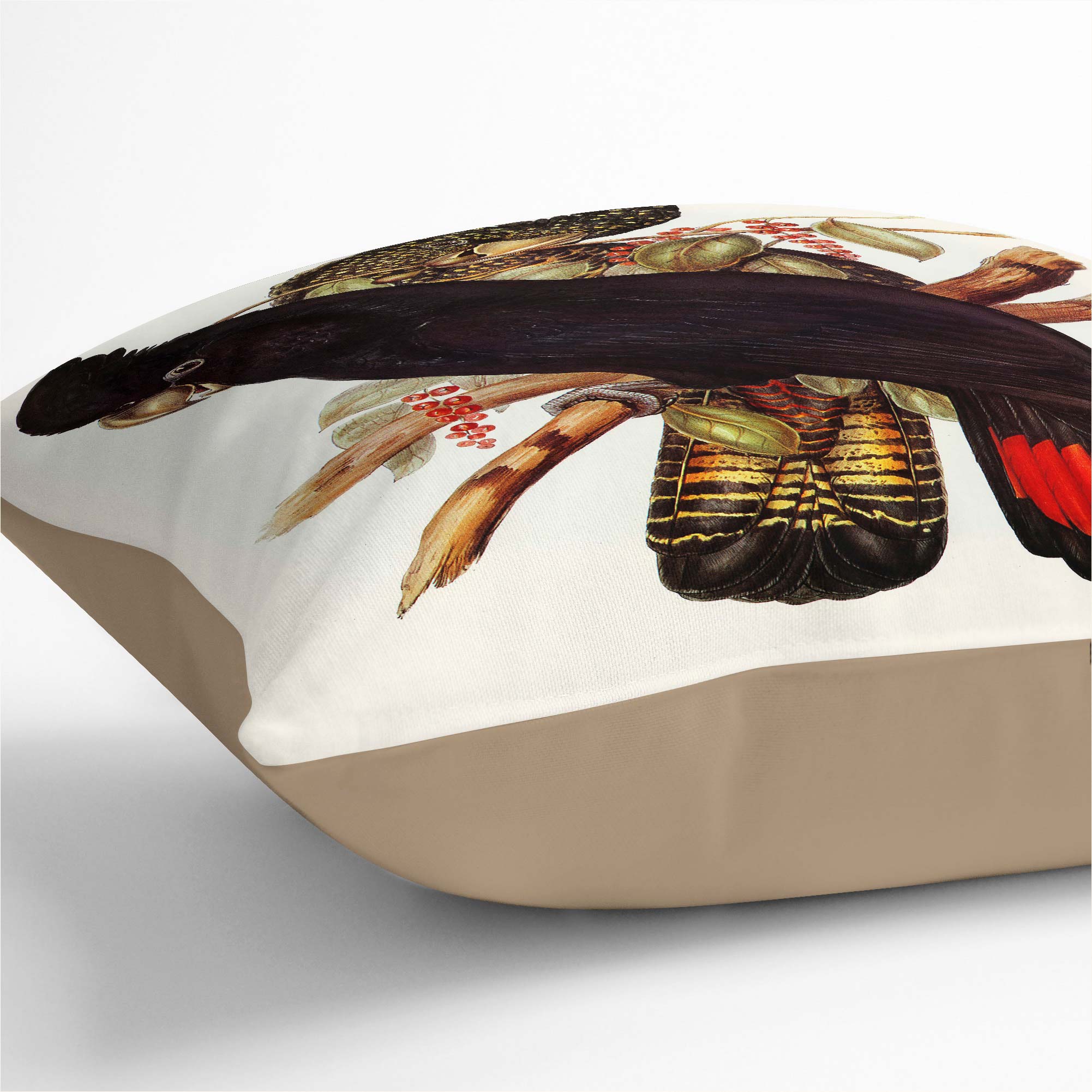 Plump Cushion Banksian Cockatoo Flowers Bird Elizabeth Gould Scatter Pillow - Picture 8 of 12