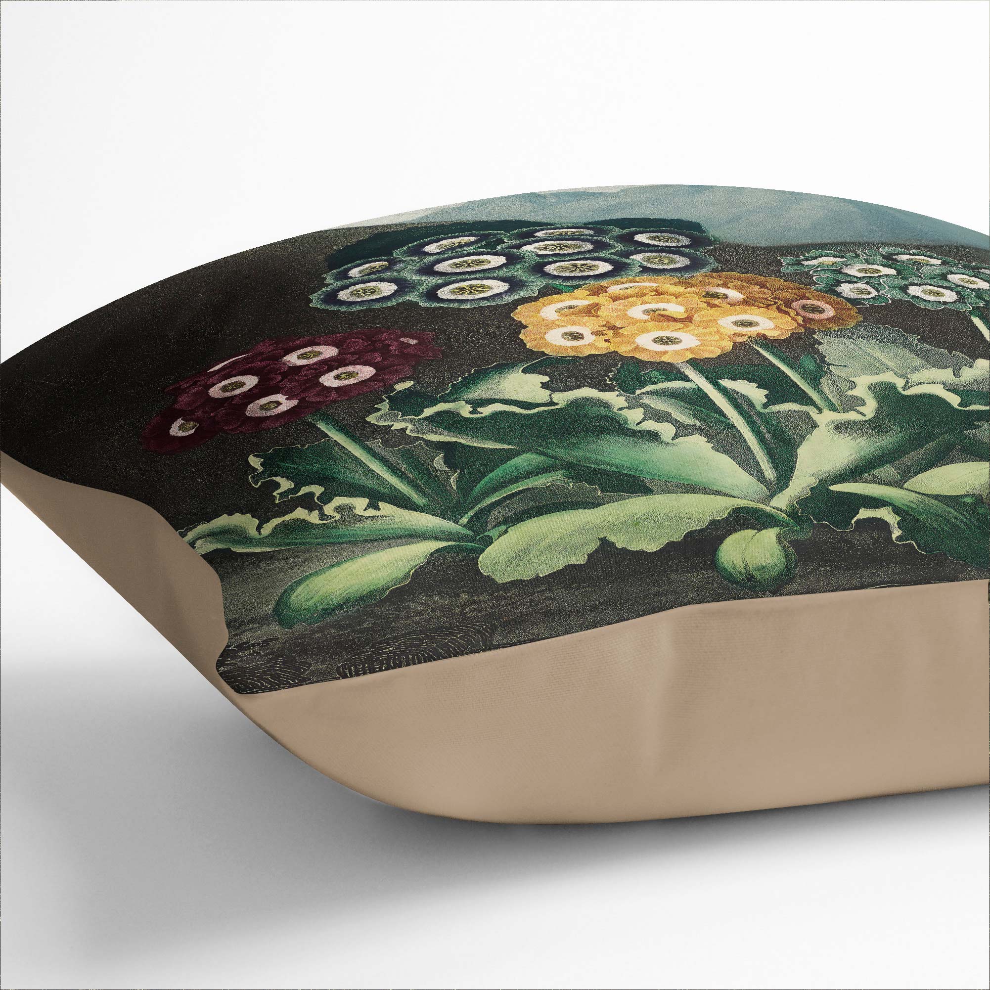 Plump Cushion Bears Ear Flowers R.J. Thornton Scatter Throw Pillow Cover Filled - Picture 6 of 10