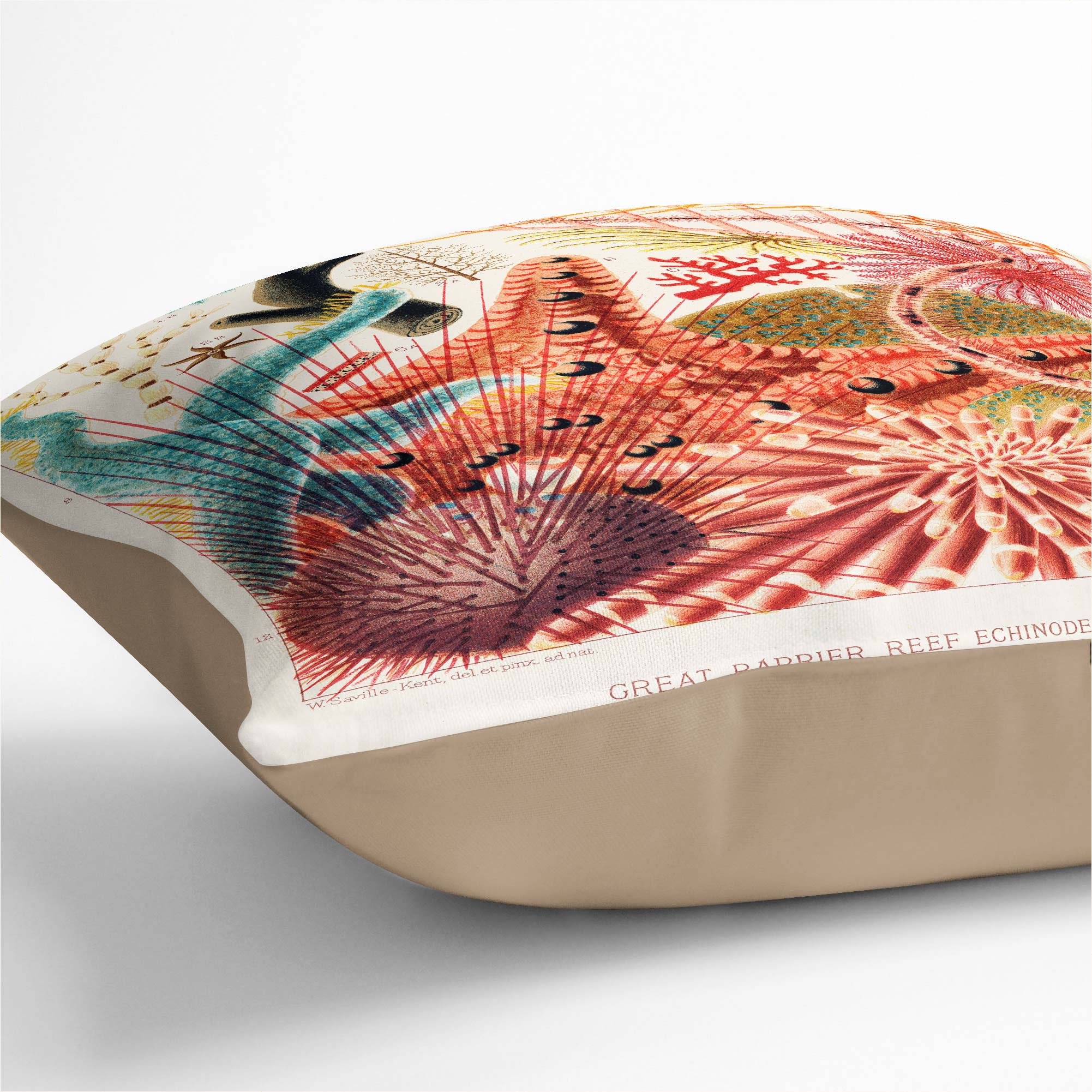 Plump Cushion Great Barrier Reef Starfish W. Saville-Kent Dekokissen - Bild 6 von 10