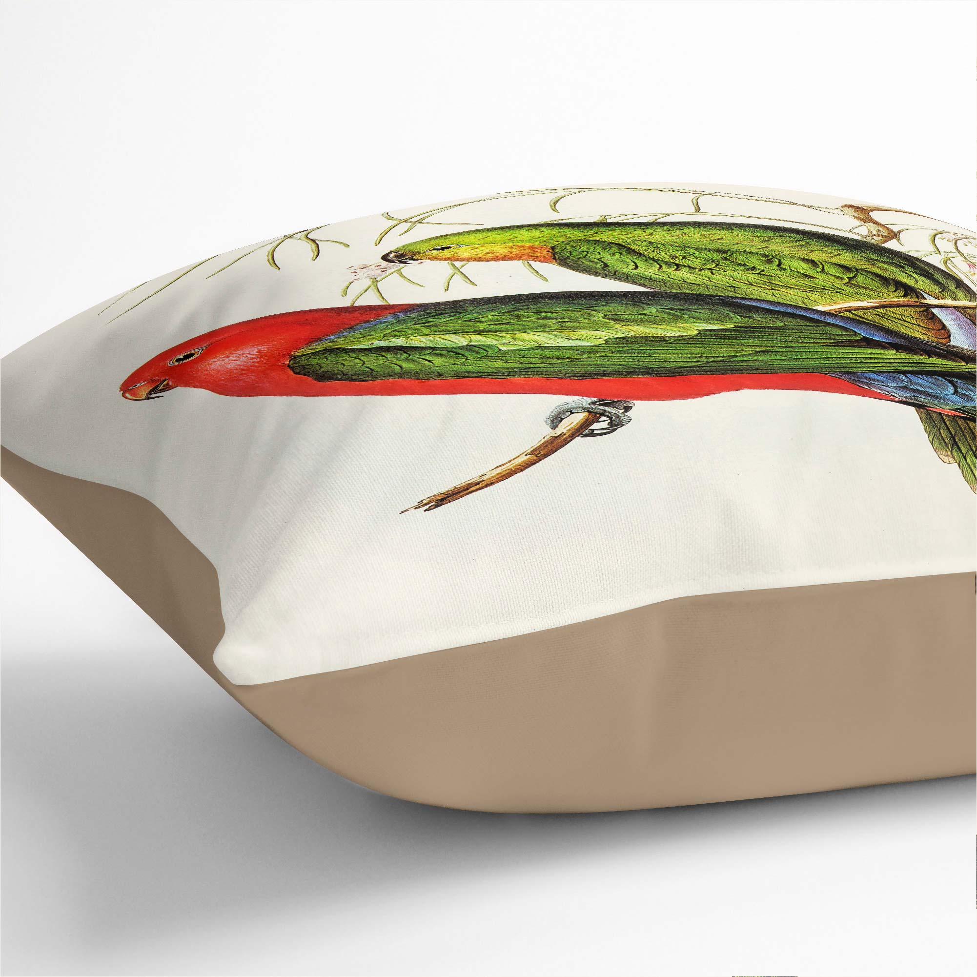 Plump Cushion King Lory Parrot Flowers Bird Elizabeth Gould Scatter Throw Pillow - Picture 8 of 12