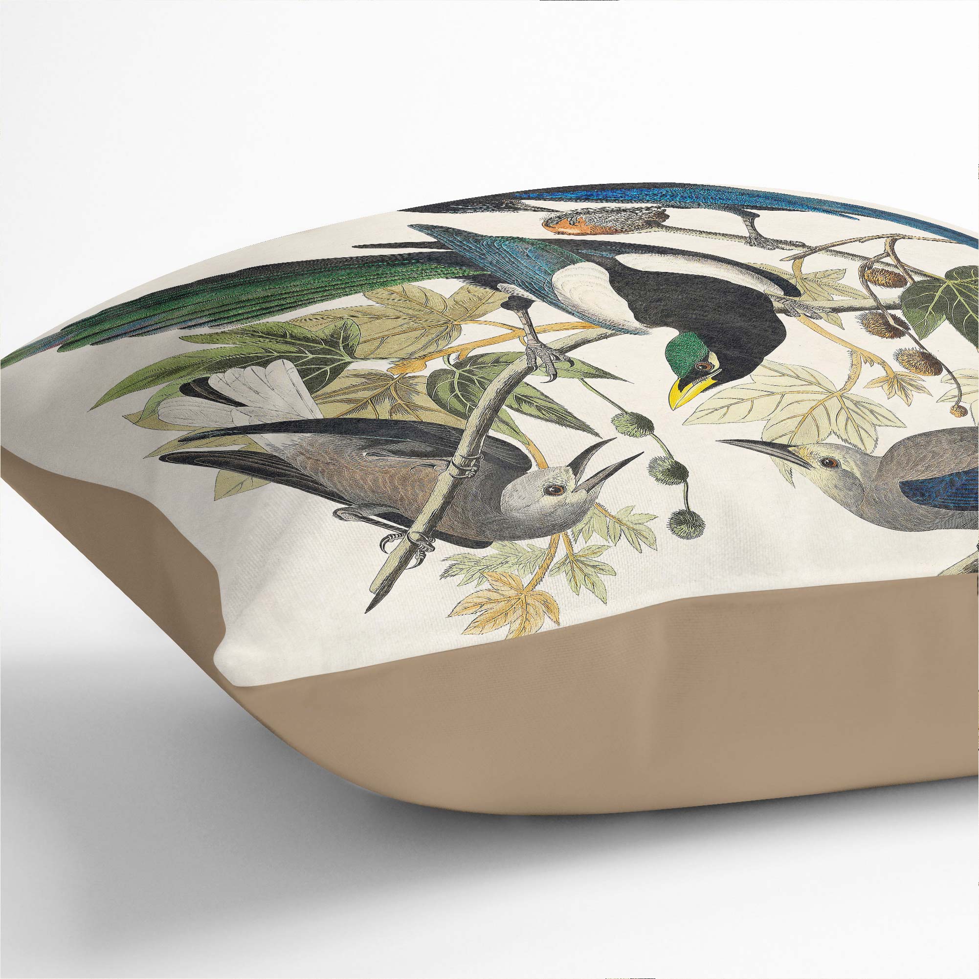 Plump Cushion Magpie, Crow & Jay Birds John James Audubon Scatter Throw Pillow - Picture 8 of 12