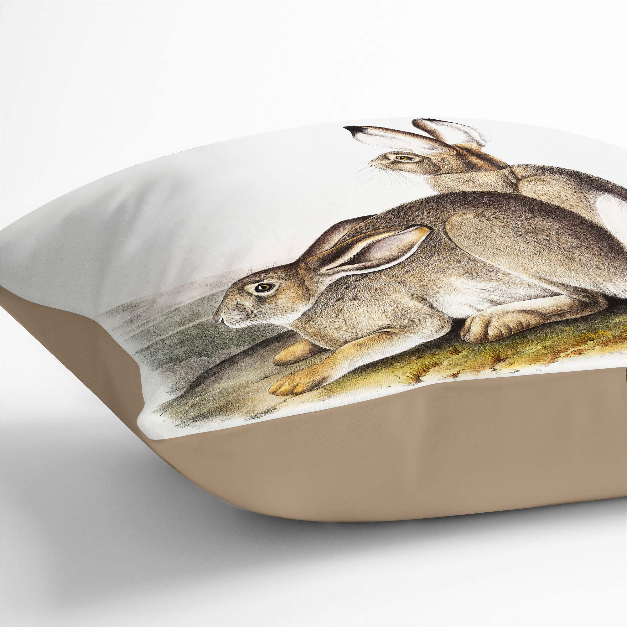 Plump Cushion Rocky Mountain Hares Landscape J.W. Audubon Scatter Throw Pillow - Picture 8 of 12