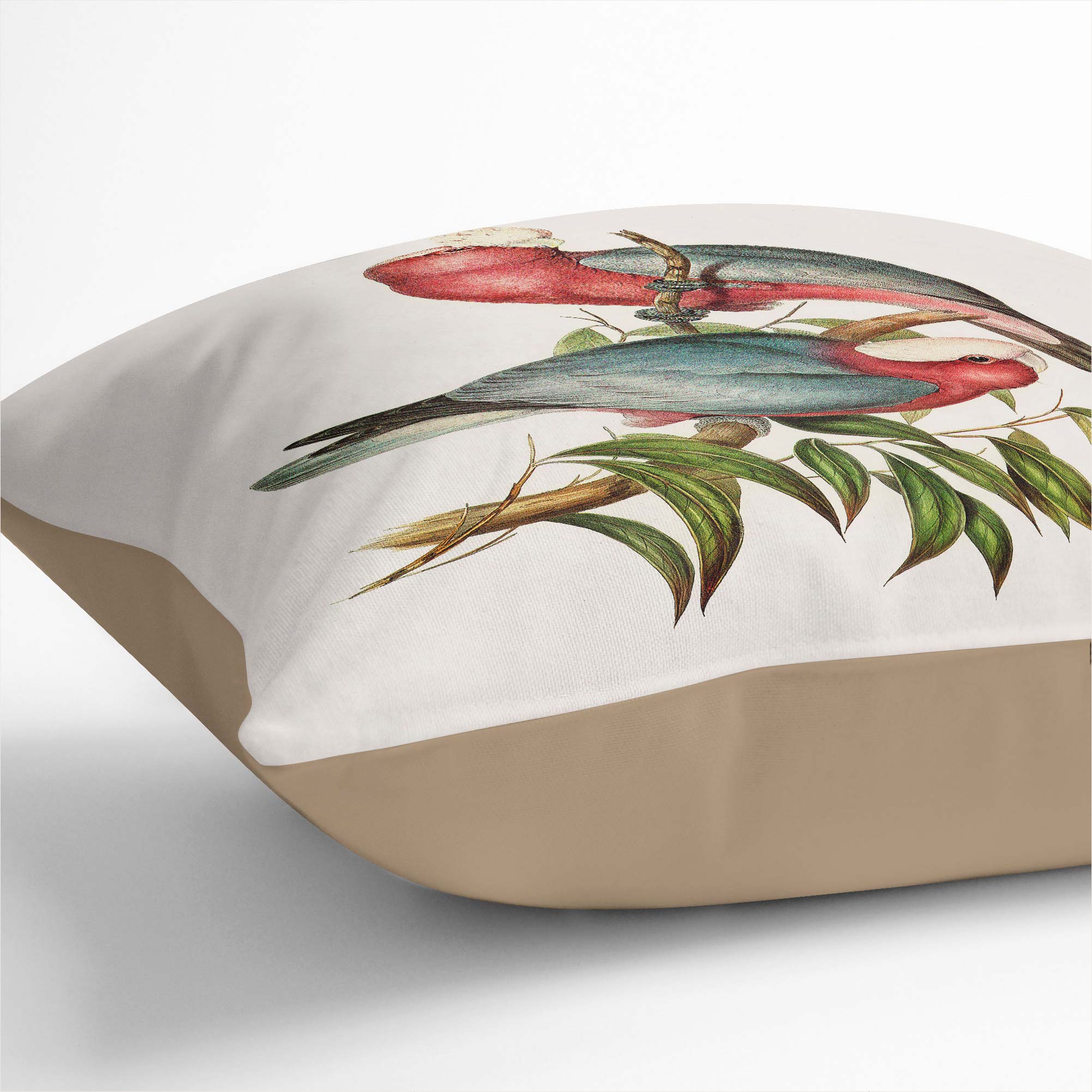 Plump Cushion Rose-breasted Cockatoos Bird Elizabeth Gould Scatter Throw Pillow - Picture 8 of 12