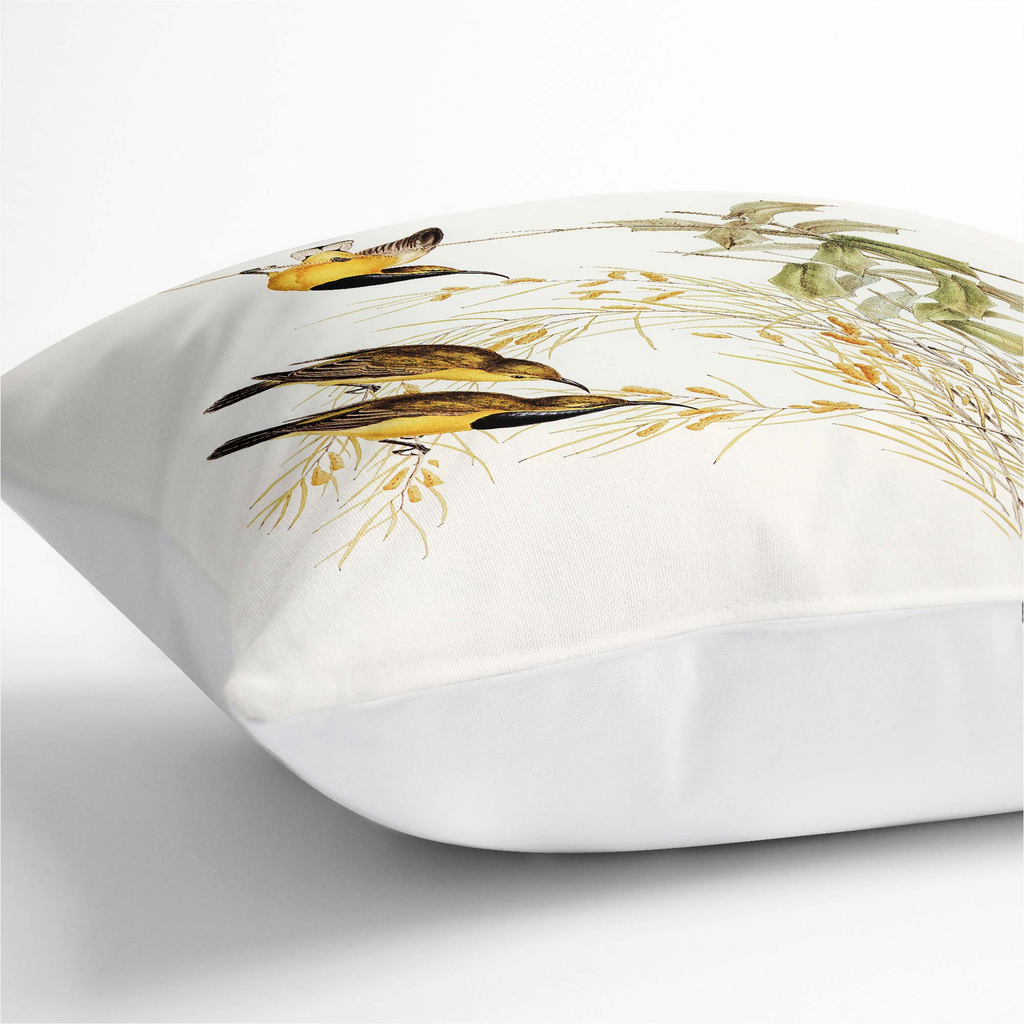 Plump Cushion Australian Sunbirds Flowers Elizabeth Gould Scatter Throw Pillow - Picture 6 of 12