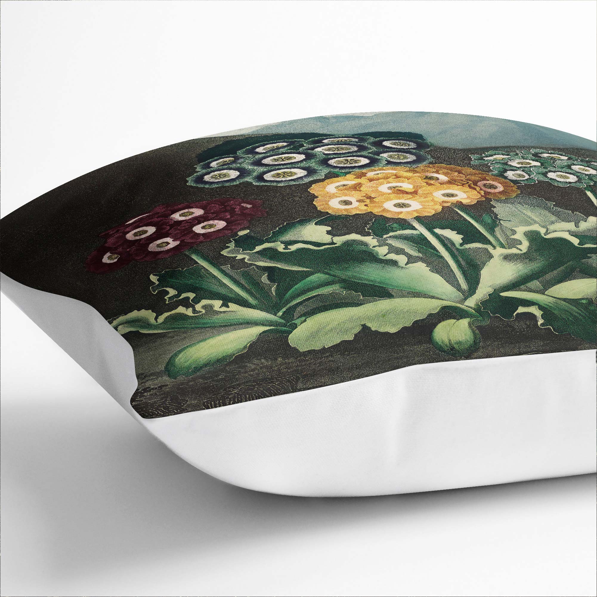 Plump Cushion Bears Ear Flowers R.J. Thornton Scatter Throw Pillow Cover Filled - Picture 4 of 10