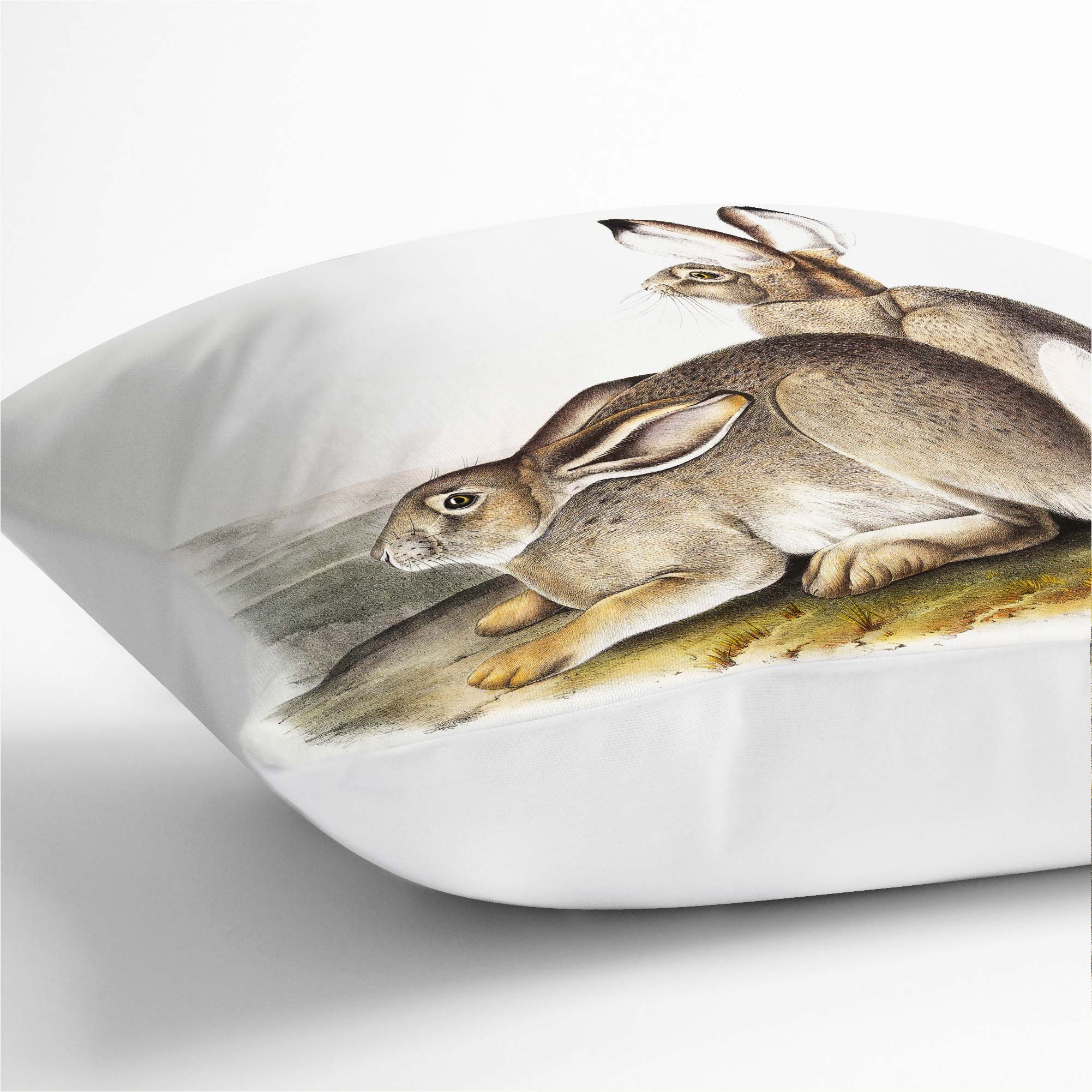 Plump Cushion Rocky Mountain Hares Landscape J.W. Audubon Scatter Throw Pillow - Picture 6 of 12