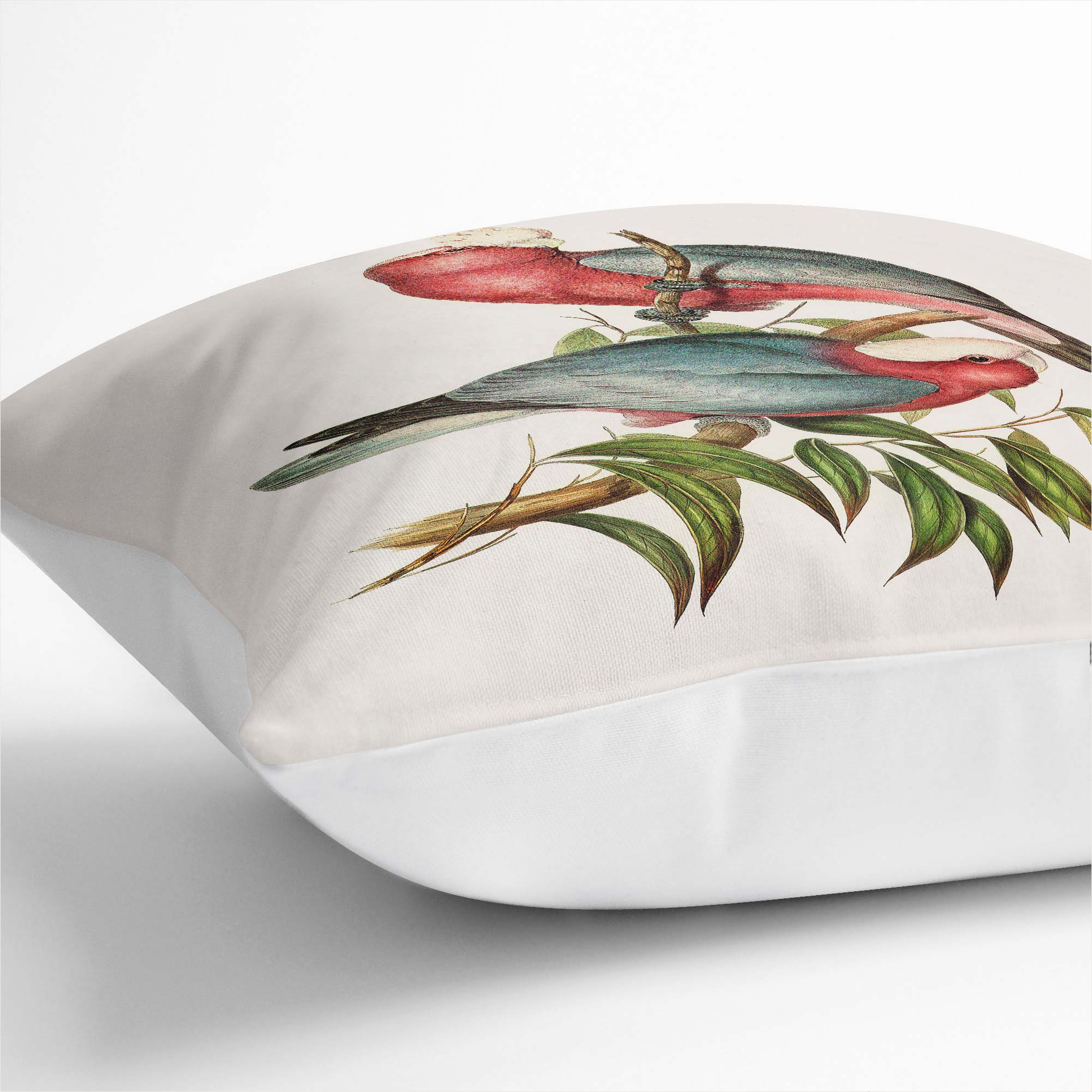 Plump Cushion Rose-breasted Cockatoos Bird Elizabeth Gould Scatter Throw Pillow - Picture 6 of 12