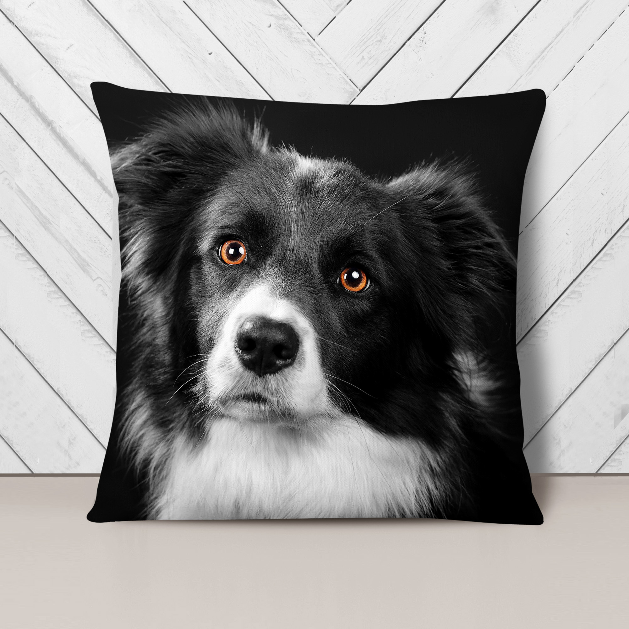 are border collies soft