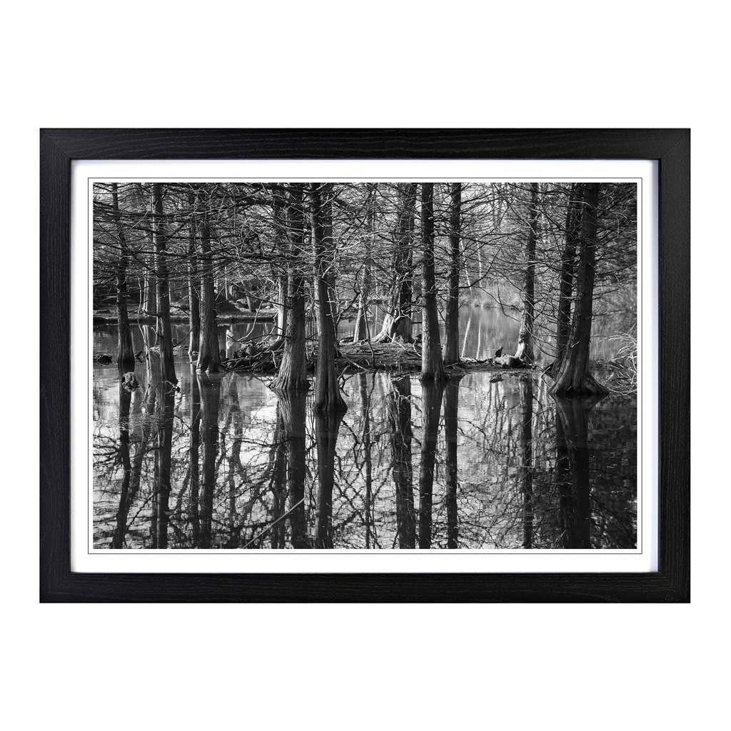 Landscape Black And White Forest And Lake Wall Art Print Framed Picture Poster - Picture 5 of 7