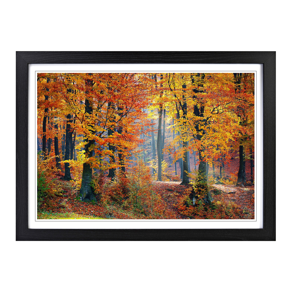 Landscape Forest In The Autumn Wall Art Print Framed Canvas Picture Poster Decor - Picture 5 of 7
