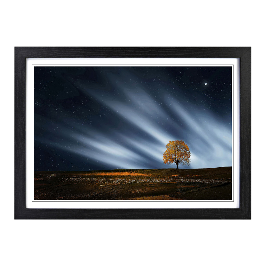 Landscape Lone Tree (2) Wall Art Print Framed Canvas Picture Poster Decor - Picture 5 of 7