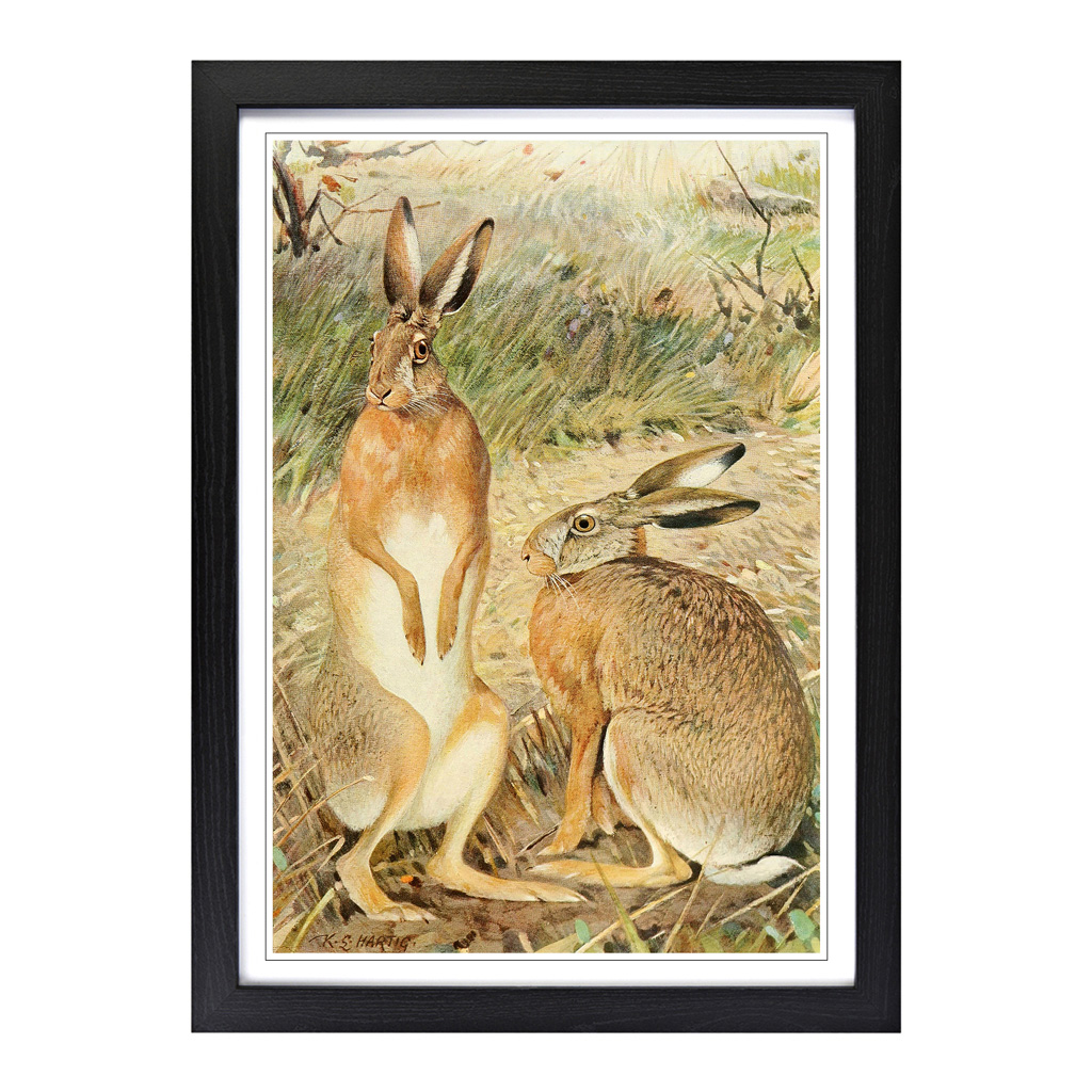 Vintage Karl Ludwig Hartig Hase Wandbild Kunstdruck gerahmt Leinwand Bild Poster - Bild 5 von 7