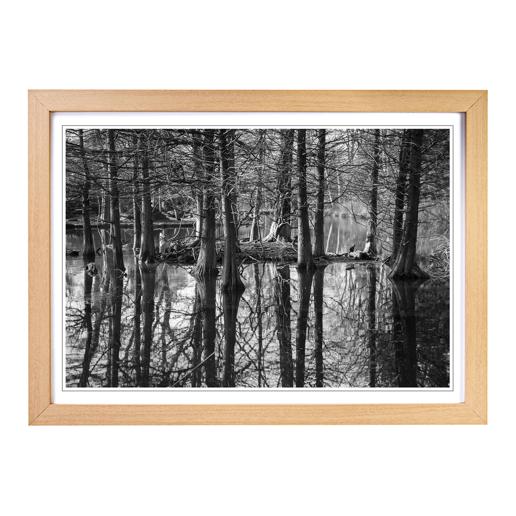 Landscape Black And White Forest And Lake Wall Art Print Framed Picture Poster - Picture 6 of 7