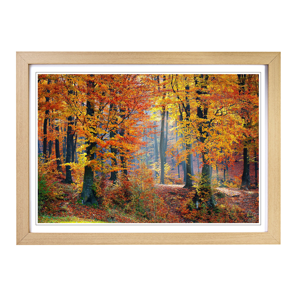 Landscape Forest In The Autumn Wall Art Print Framed Canvas Picture Poster Decor - Picture 6 of 7