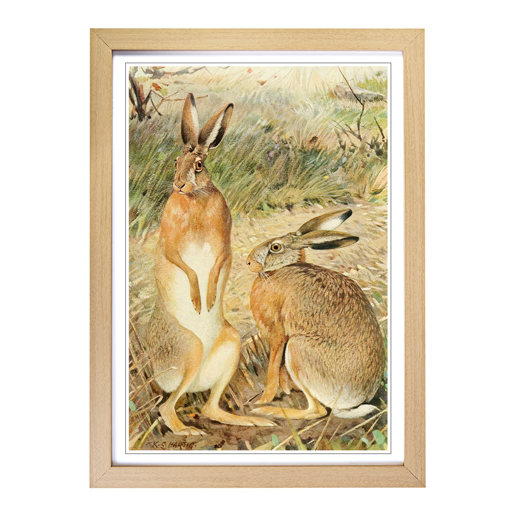 Vintage Karl Ludwig Hartig Hase Wandbild Kunstdruck gerahmt Leinwand Bild Poster - Bild 6 von 7
