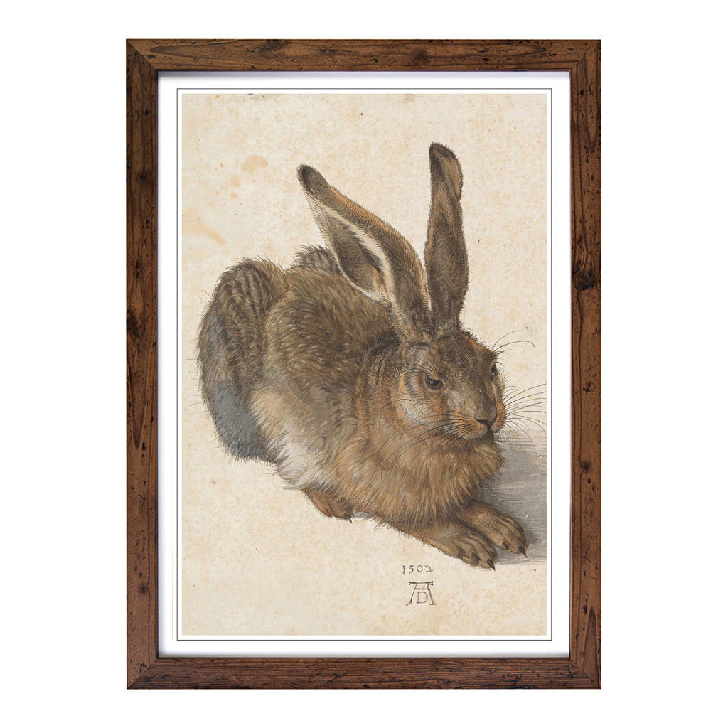 Albrecht Durer The Hare Wall Art Print Framed Canvas Picture Poster Decor - Picture 7 of 7