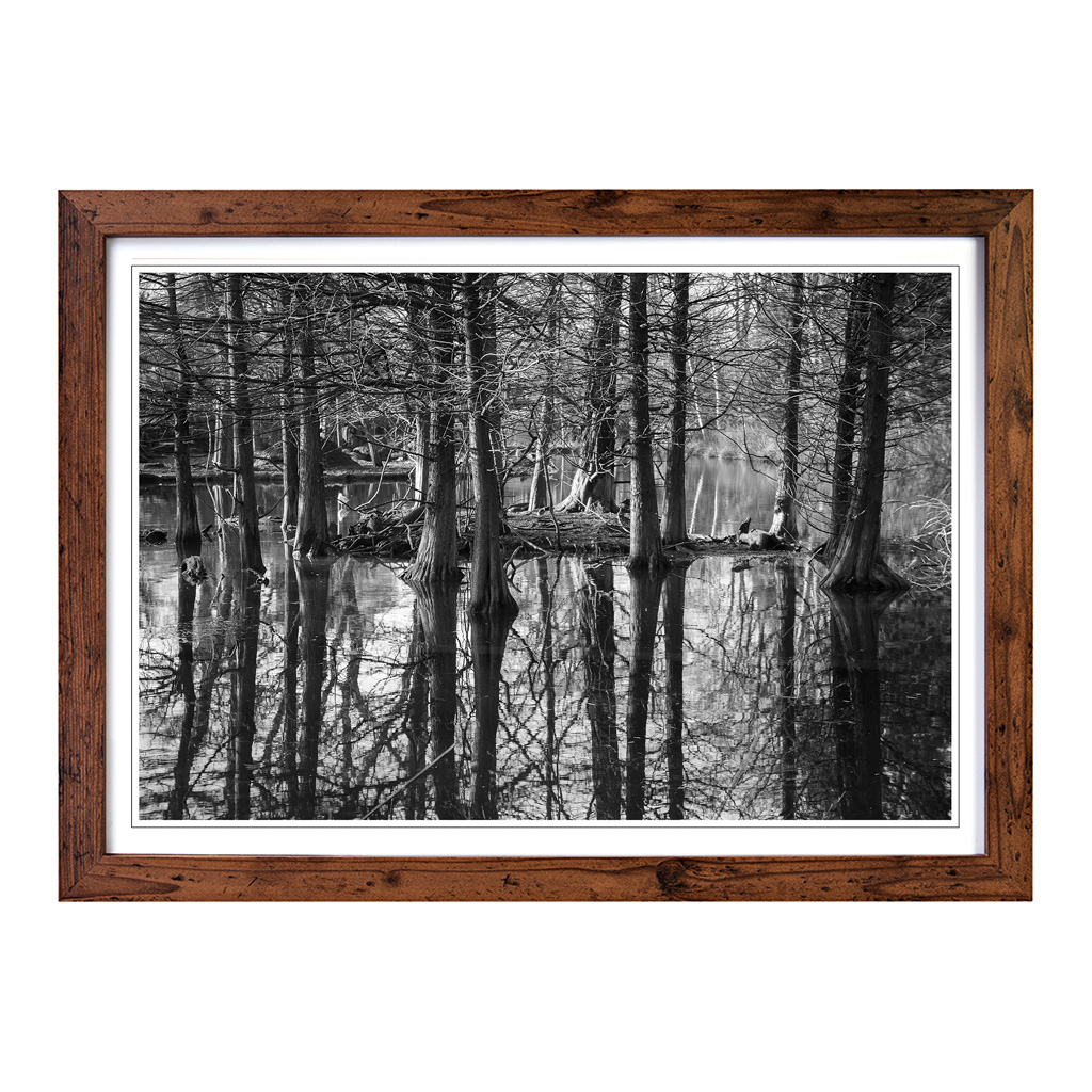 Landscape Black And White Forest And Lake Wall Art Print Framed Picture Poster - Picture 7 of 7