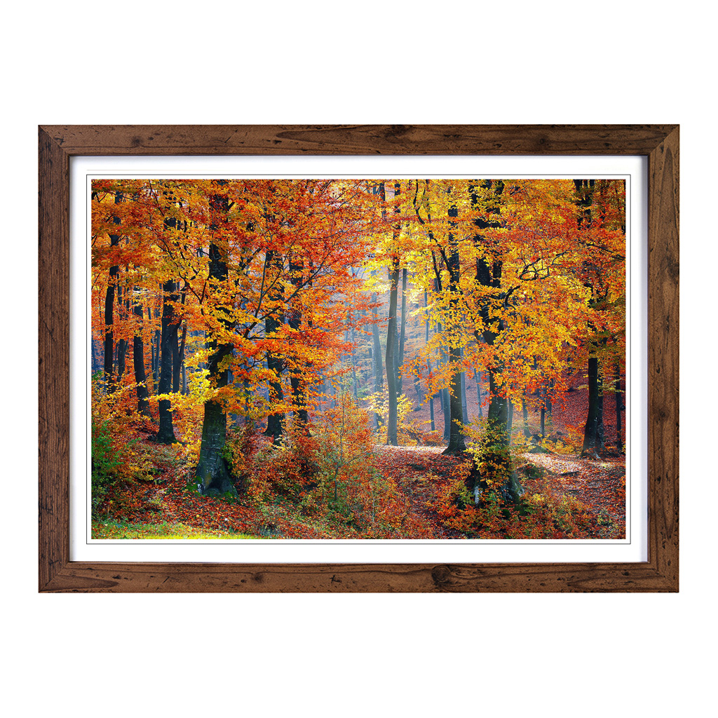 Landscape Forest In The Autumn Wall Art Print Framed Canvas Picture Poster Decor - Picture 7 of 7