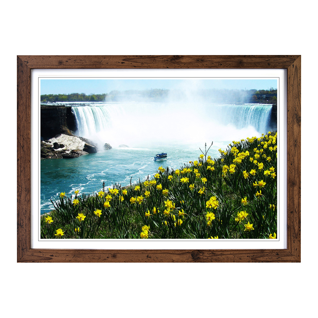 Niagara Falls Daffodils Flowers Wall Art Print Framed Canvas Picture Poster - Picture 7 of 7