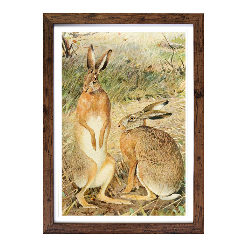 Vintage Karl Ludwig Hartig Hase Wandbild Kunstdruck gerahmt Leinwand Bild Poster - Bild 7 von 7