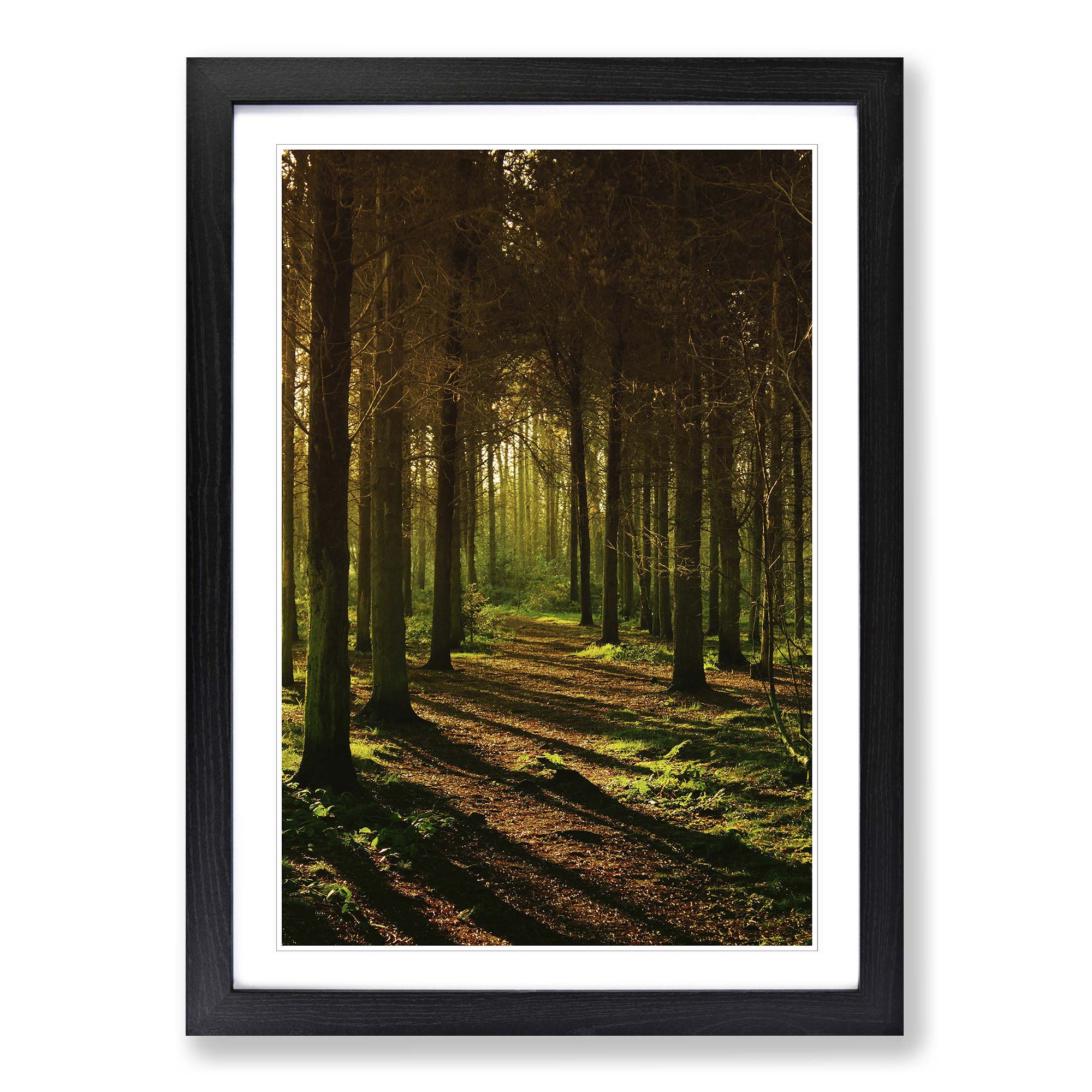 Sunlight Forest Woodland Landscape (1) Framed Wall Art Print Large ...