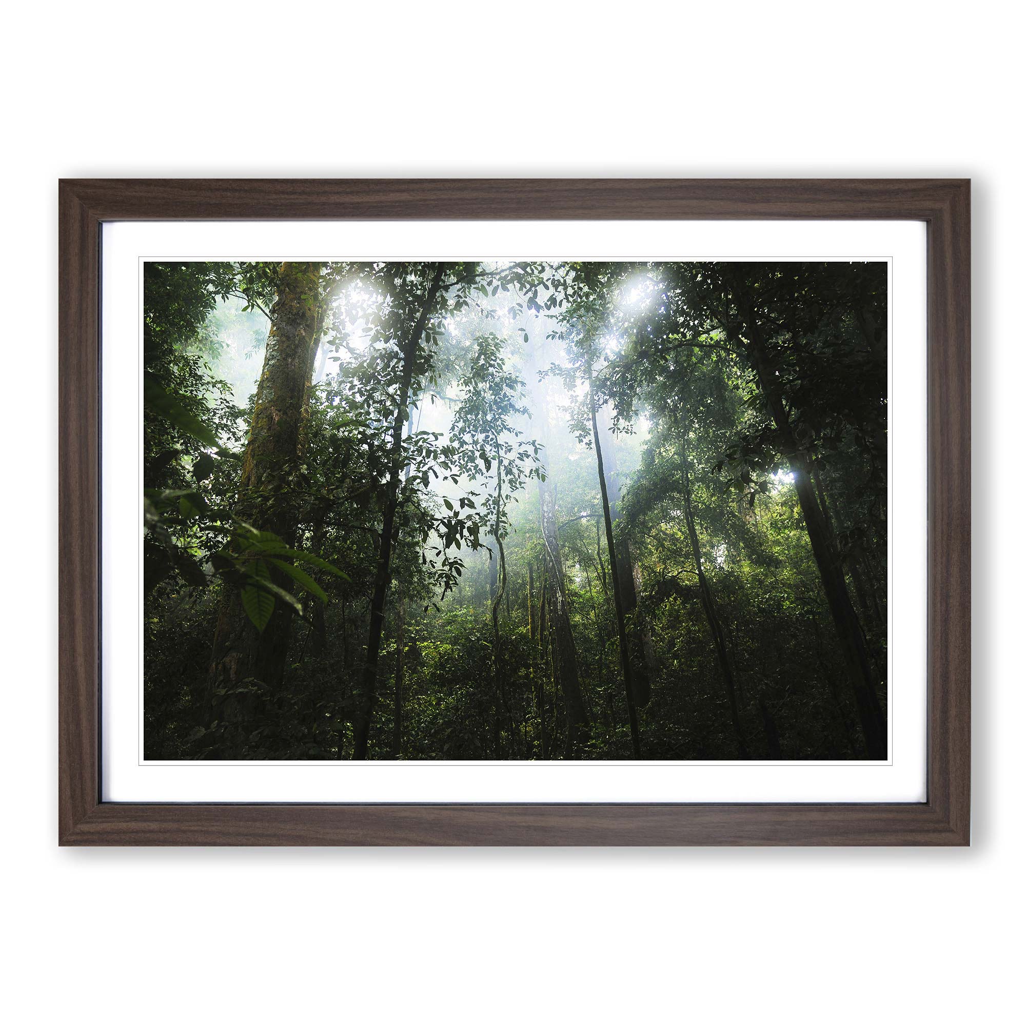 Landscape Jungle Rainforest (2) Wall Art Print Framed Canvas Picture ...