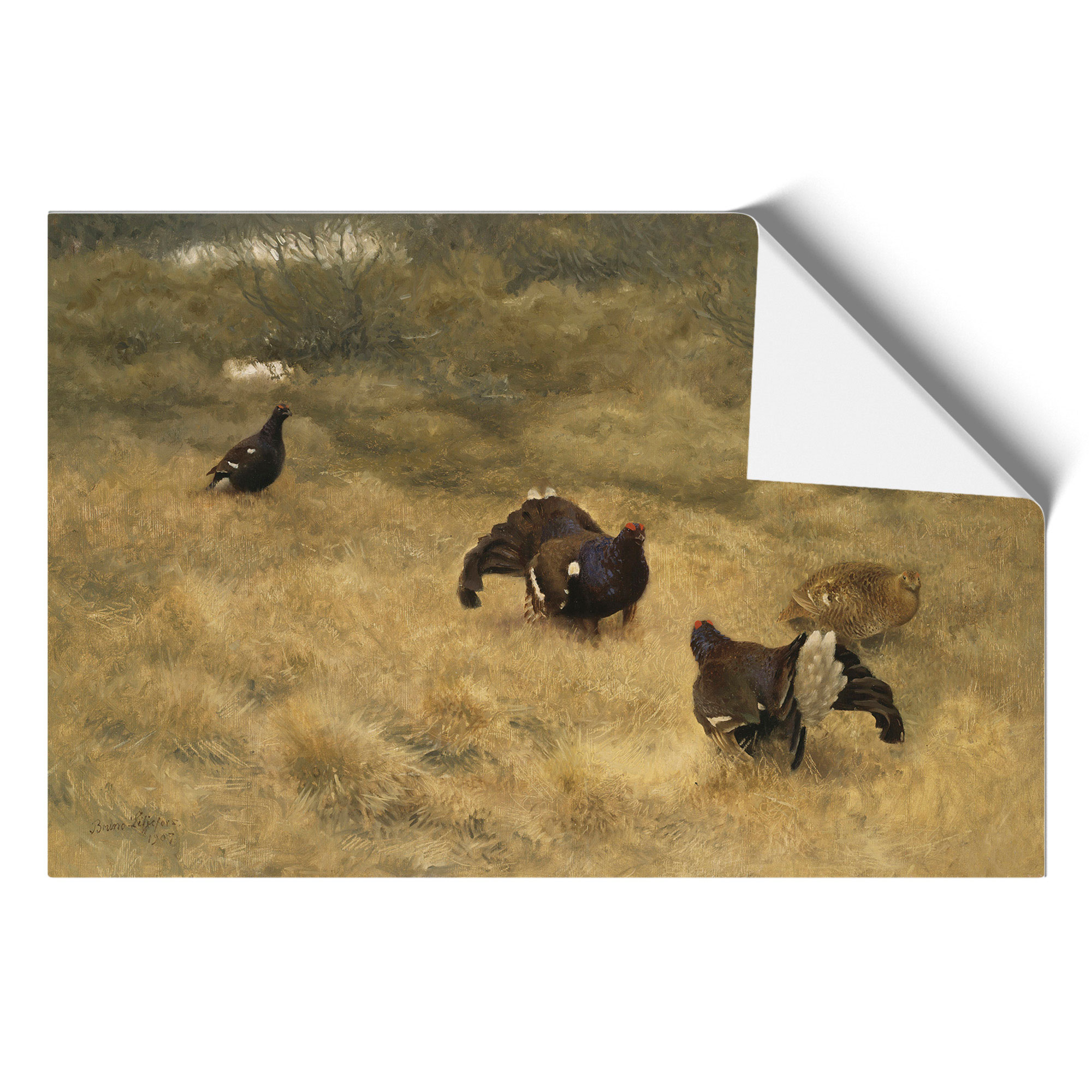 Black Grouse von Liljefors gerahmte Wandkunst Malerei Poster Druck Leinwandbild - Bild 9 von 9