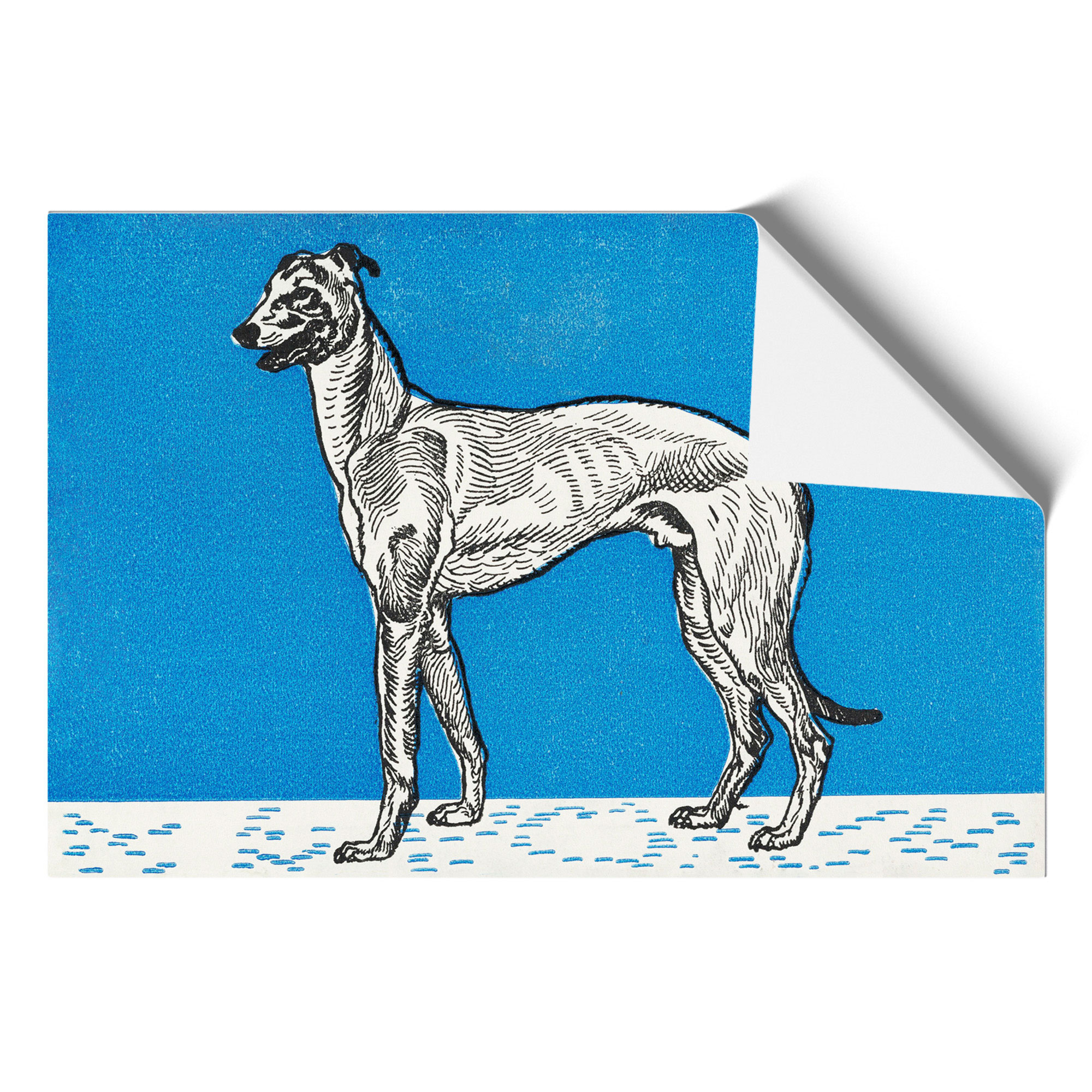 Greyhound Vol.1 By Moriz Jung Wall Art Print Framed Canvas Picture Poster Decor - Picture 9 of 9