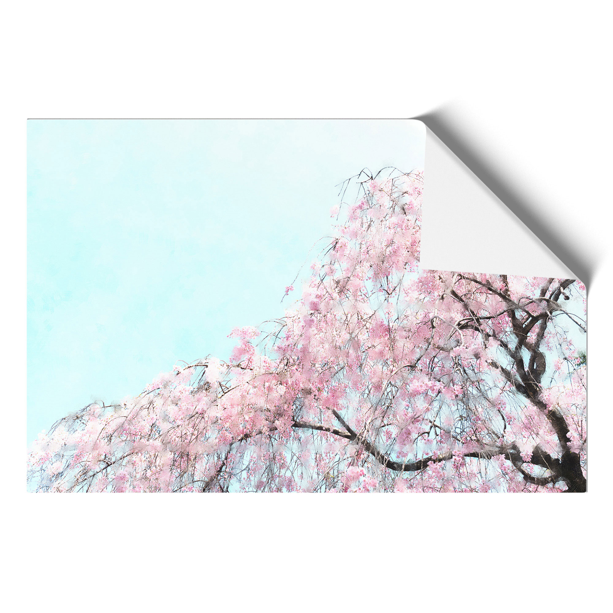 Pretty Pink Cherry Blossom Tree Framed Canvas Wall Art Print Poster Picture - Picture 9 of 9