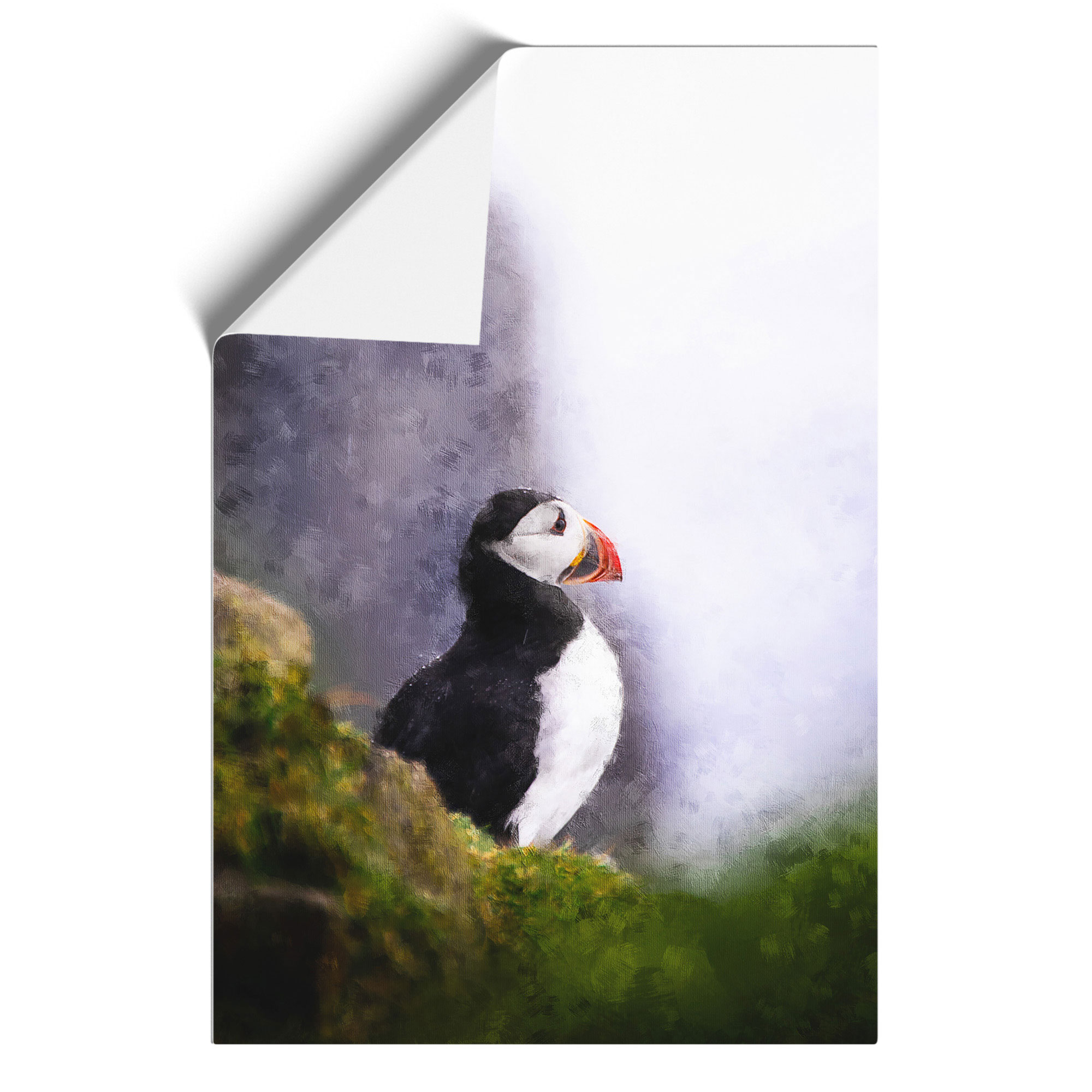 Atlantic Puffin Birds Vol.7 Framed Canvas Wall Art Print Poster Picture - Picture 9 of 9
