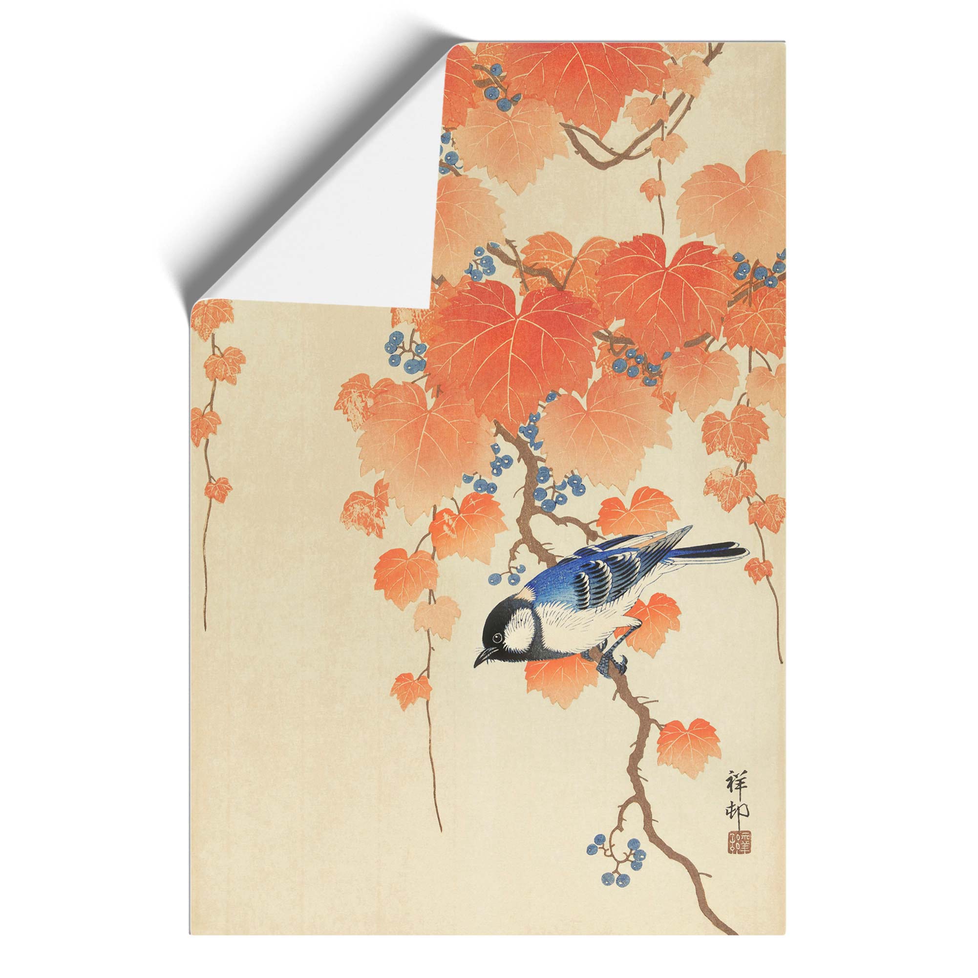 Great Tit On A Paulownia Branch Bird Ohara Koson Wall Art Print Framed Picture - Picture 9 of 9
