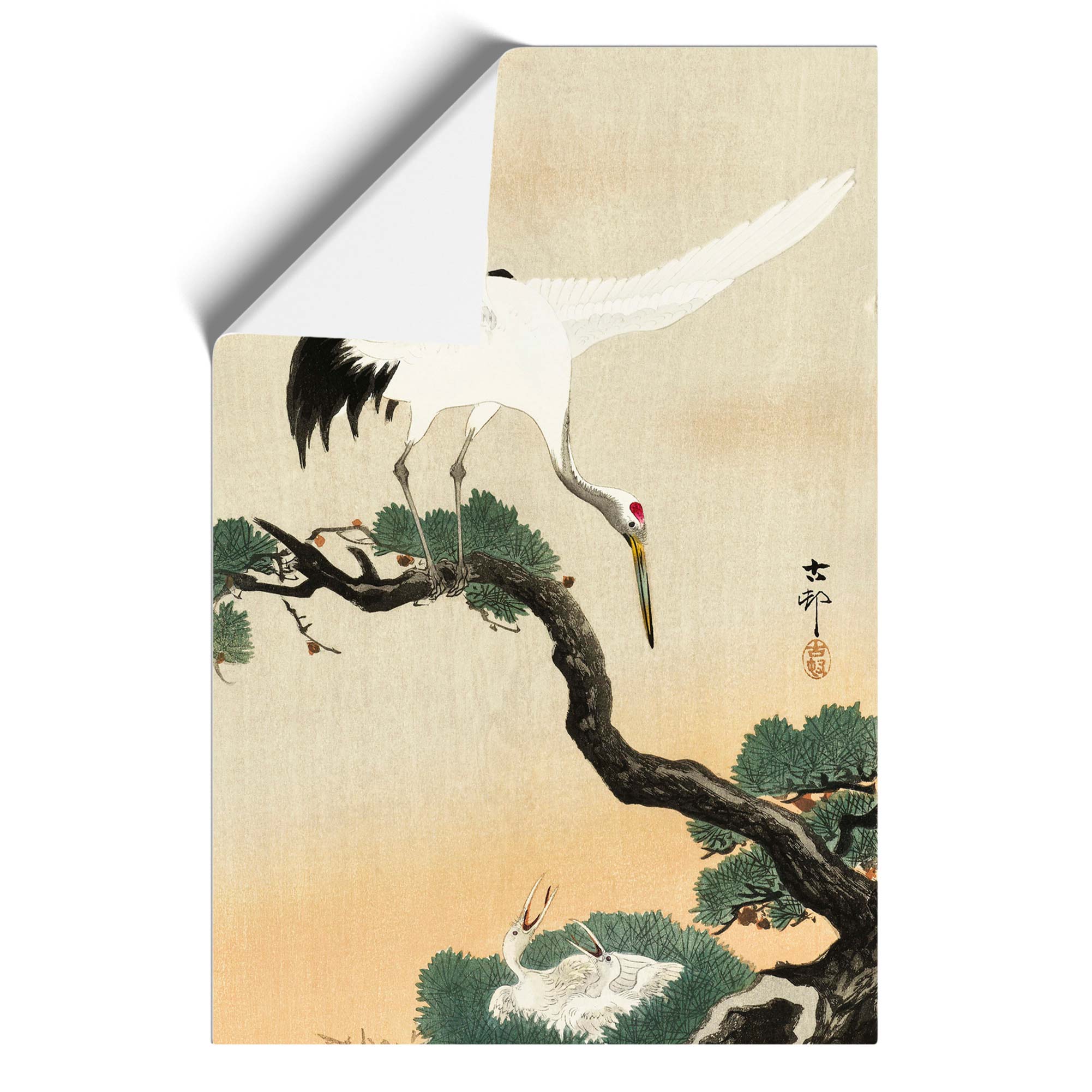 Japanese Crane Birds Flowers Asian Ohara Koson Wall Art Print Framed Picture